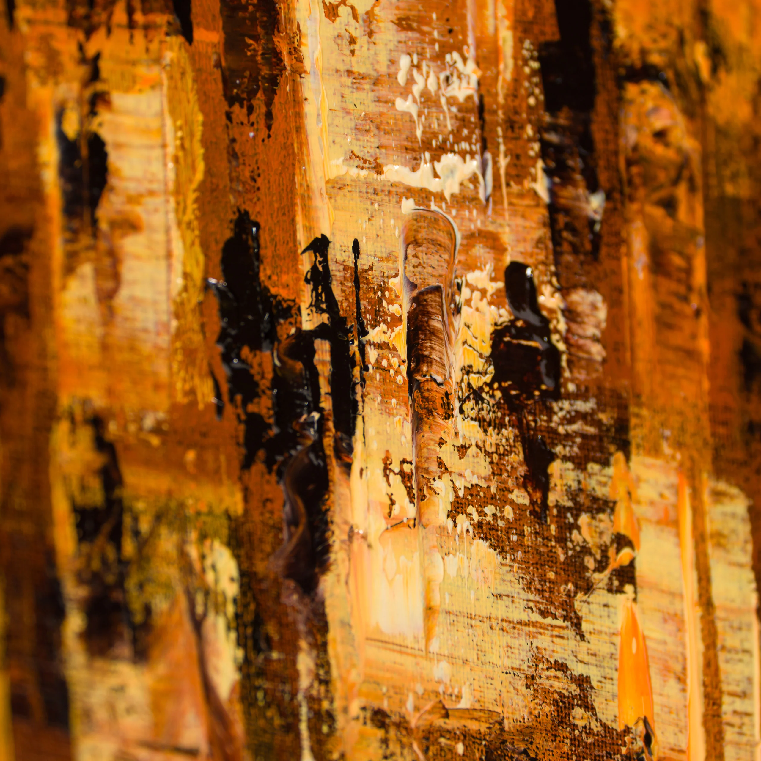 Golden Light, Grand Central - Image 6