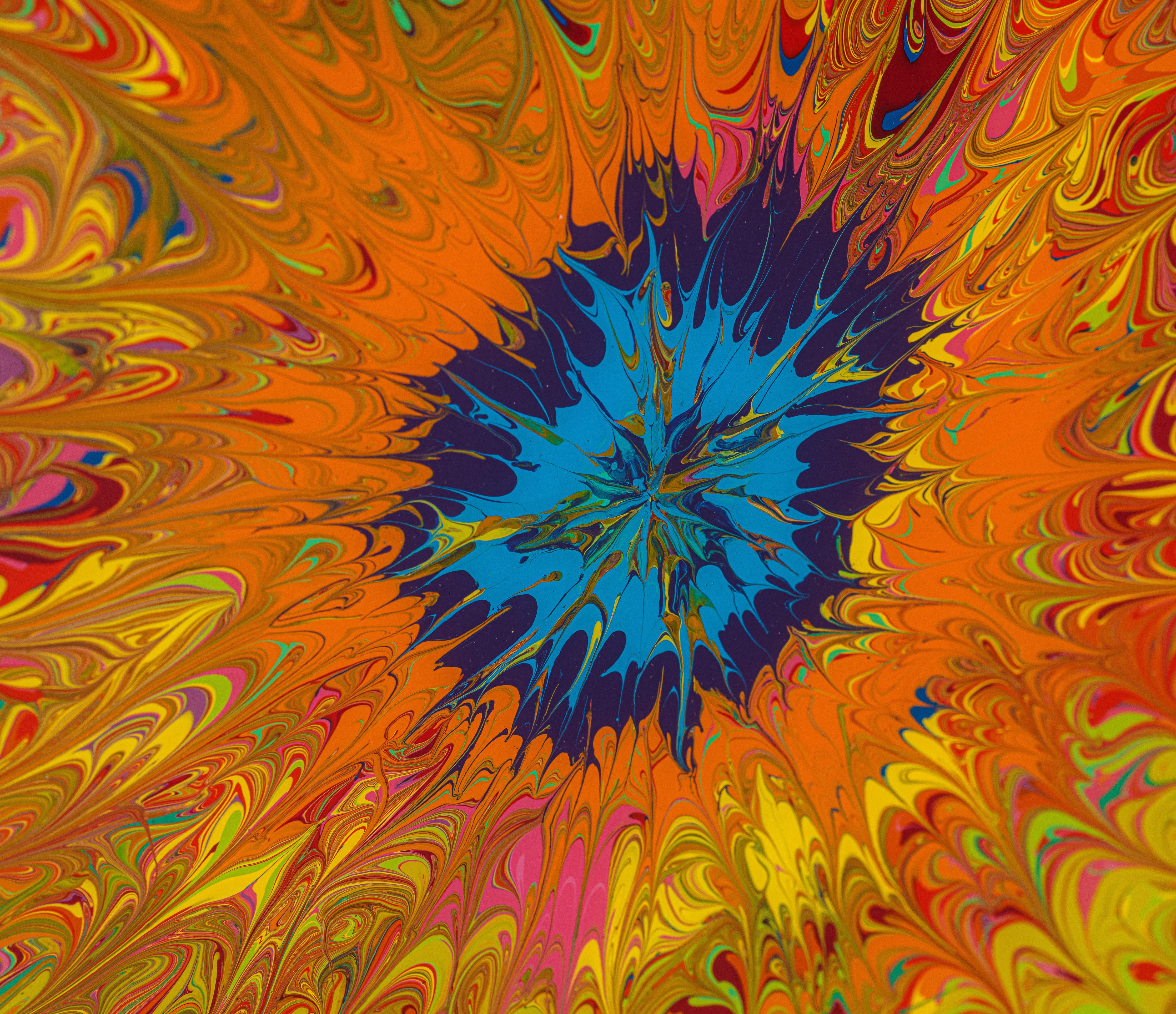 In The Tide Pool - Sea Anemone 1 - Image 3