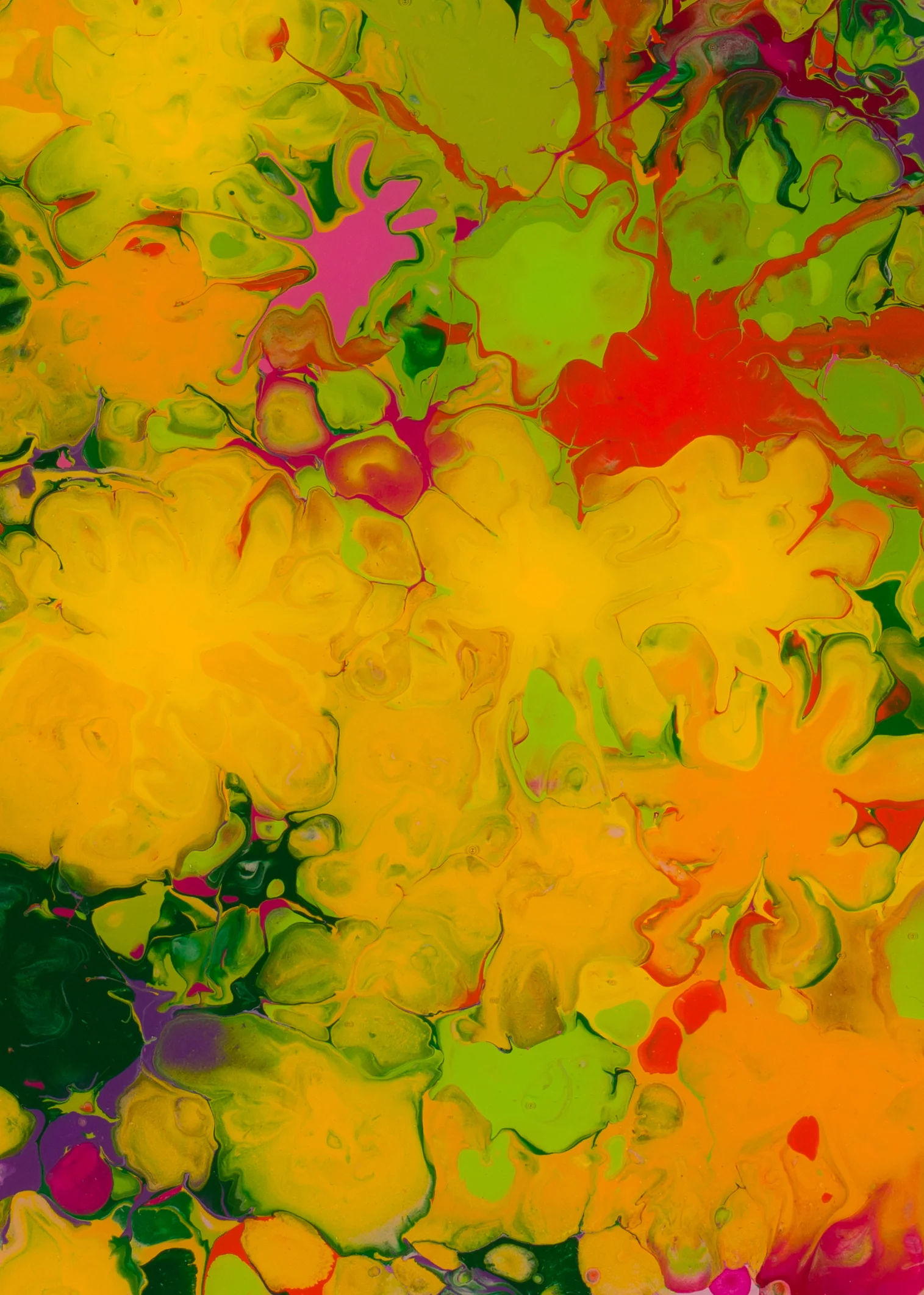 The Impossible Geometry Of Nature 2 - Image 3