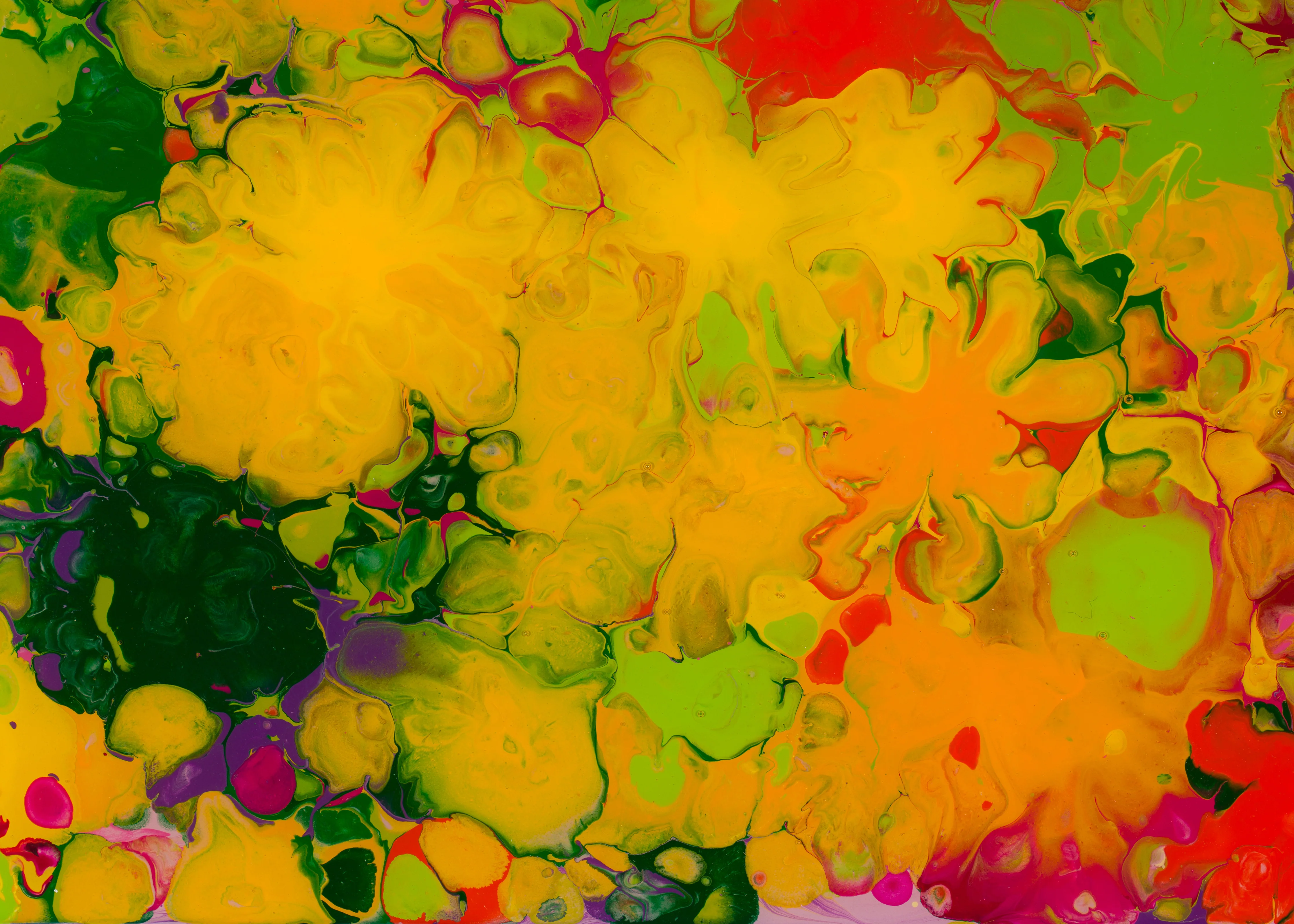 The Impossible Geometry Of Nature 2 - Image 4