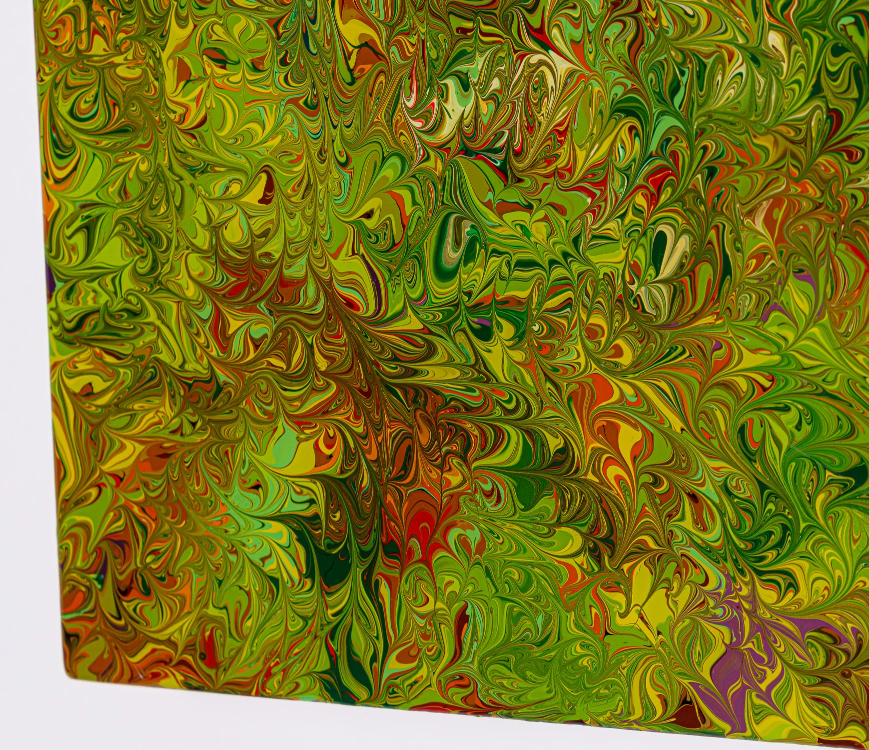 Walking With The Sun - Image 4