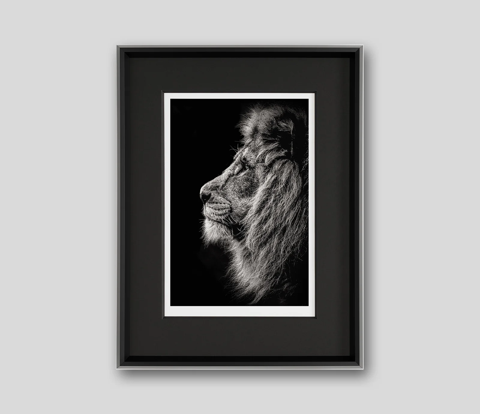 Call Of The Wild (Set of Three - Alpha/It's Been A Long Day/Prince Of Darkness) - Image 3