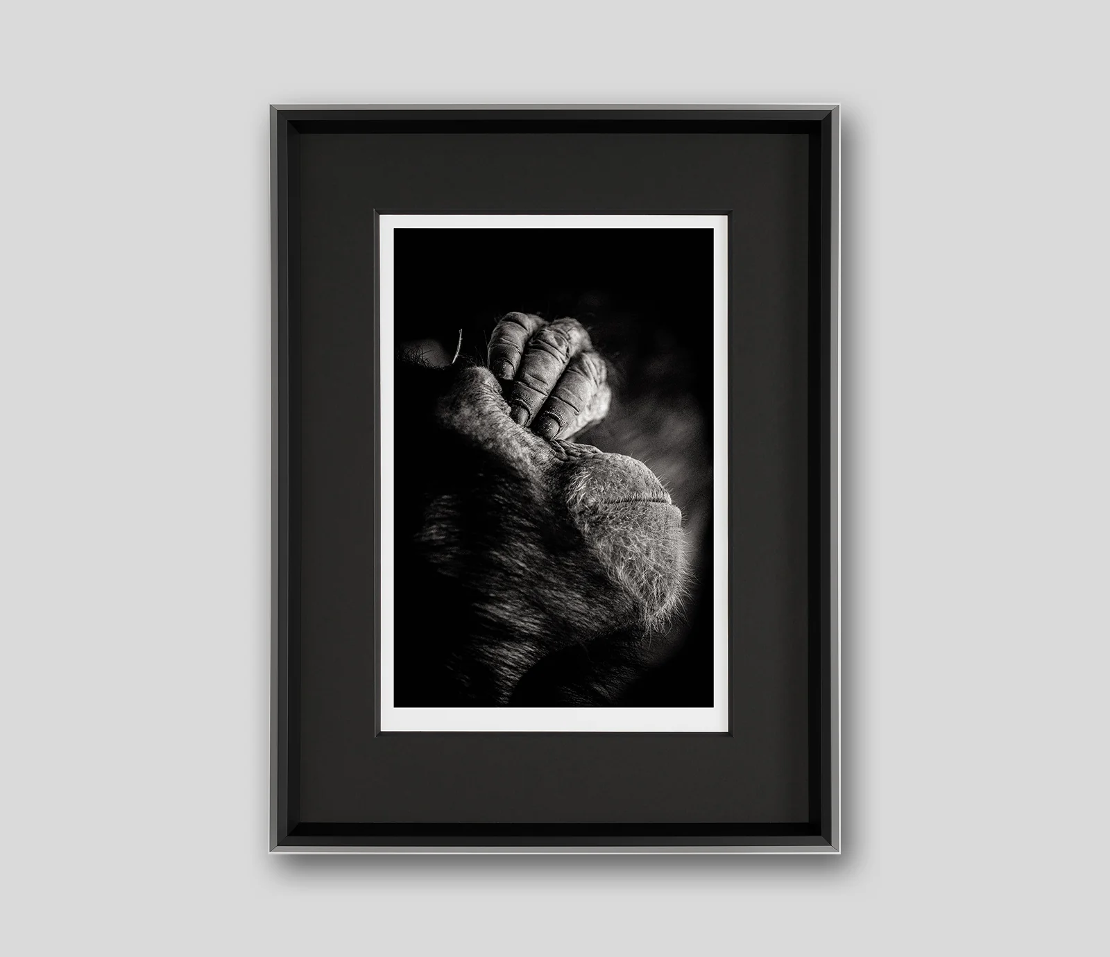 Call Of The Wild (Set of Three - Alpha/It's Been A Long Day/Prince Of Darkness) - Image 4