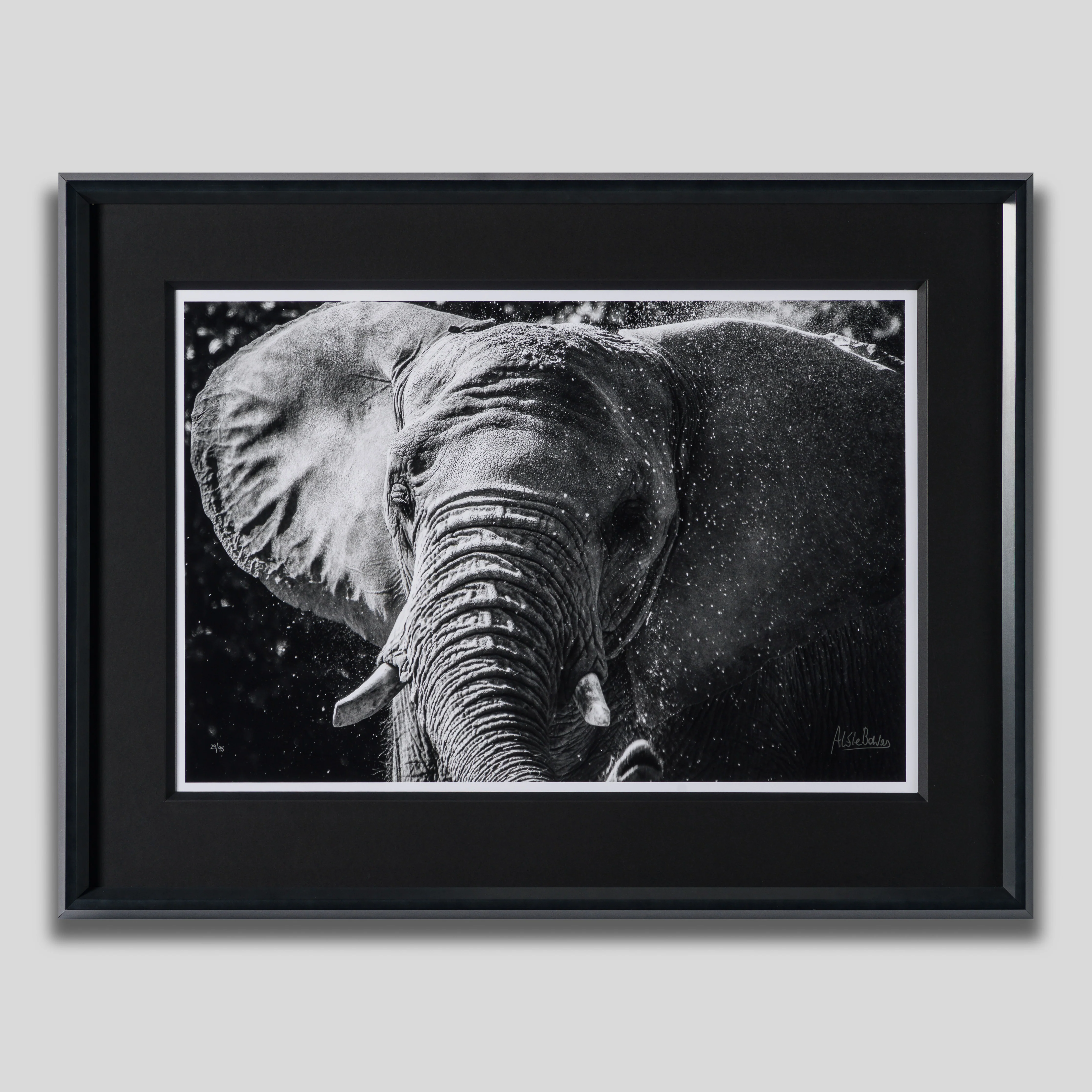 Tusker