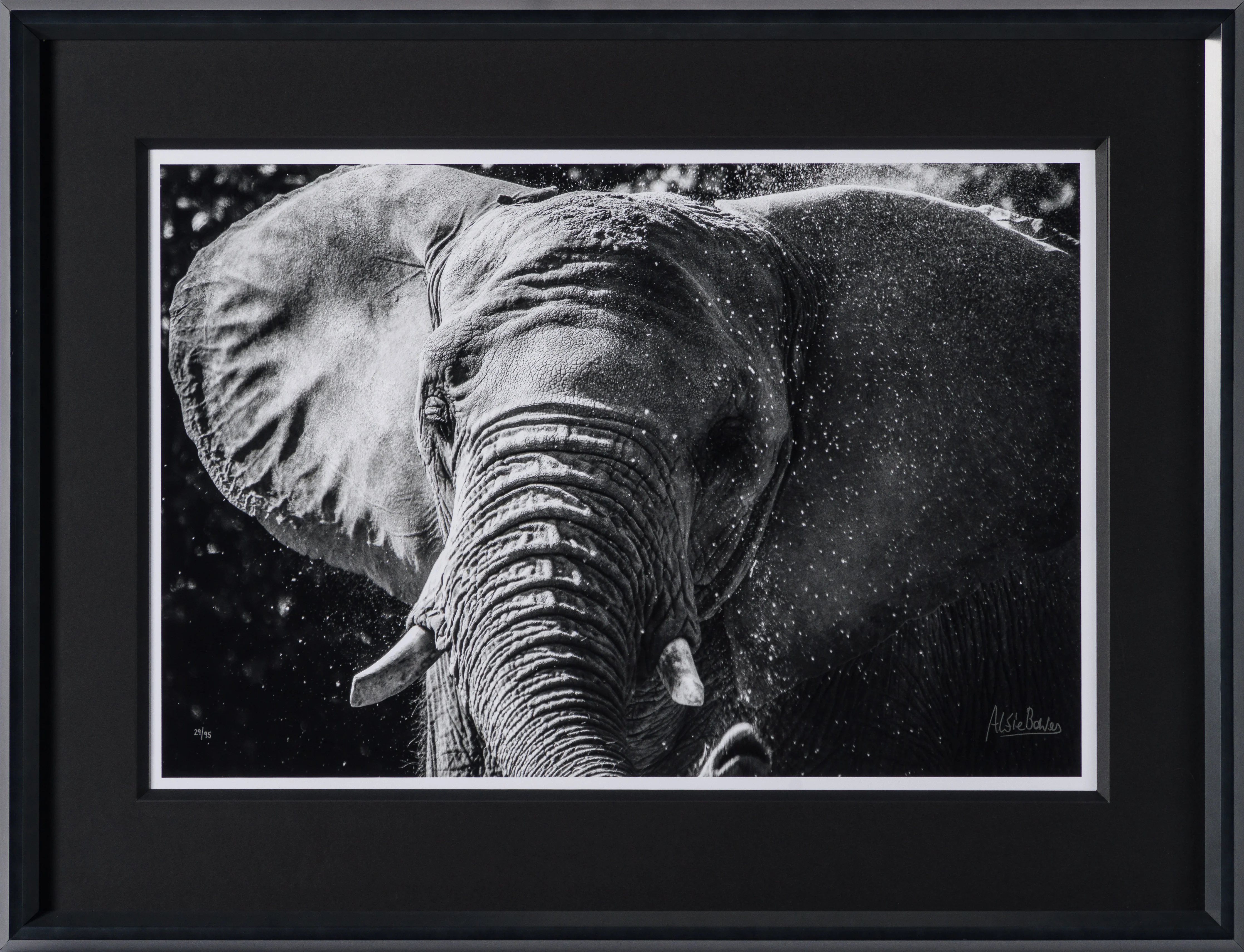 Tusker - Image 5
