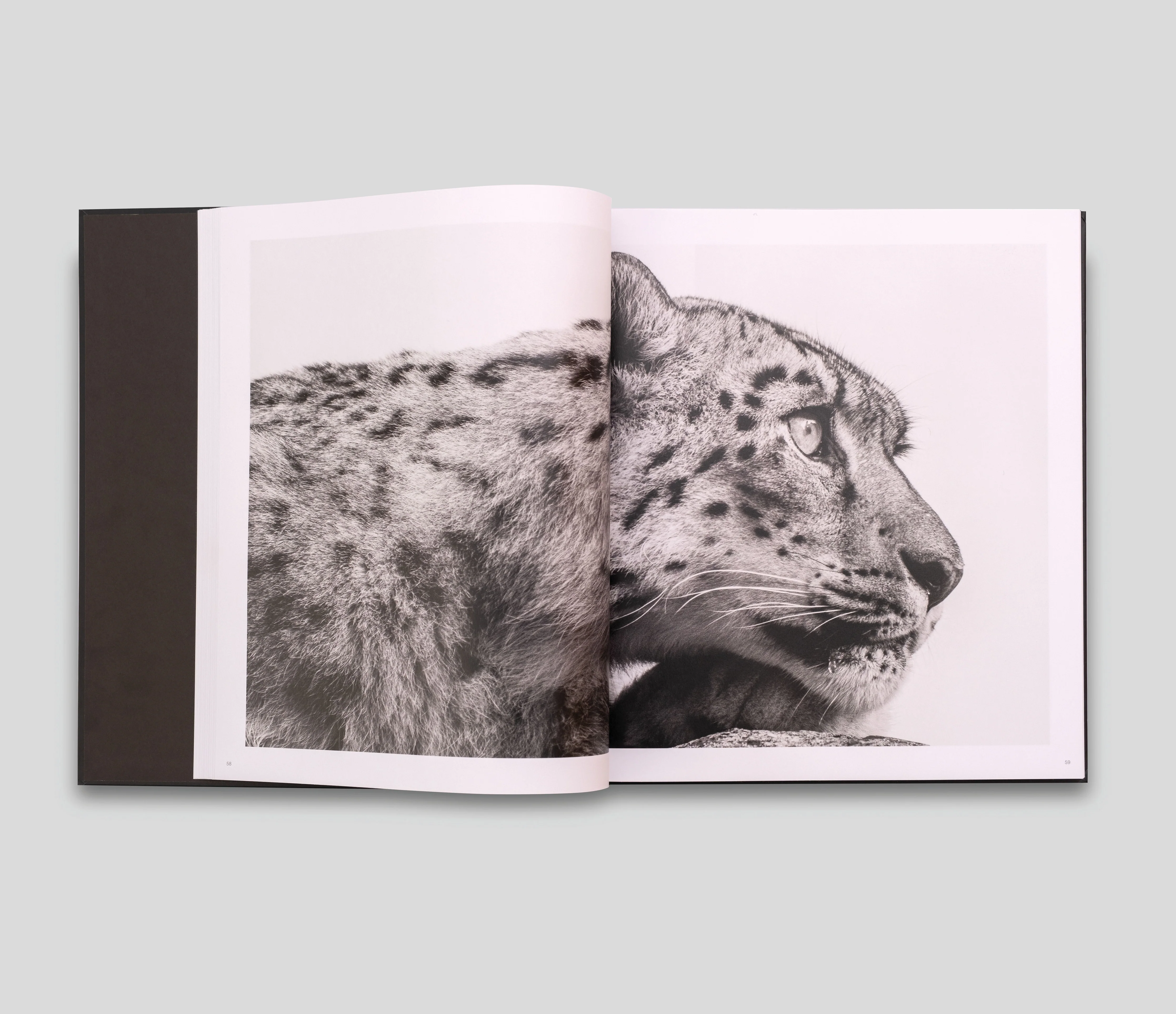 Wild World | Nature Through An Autistic Eye - Image 3