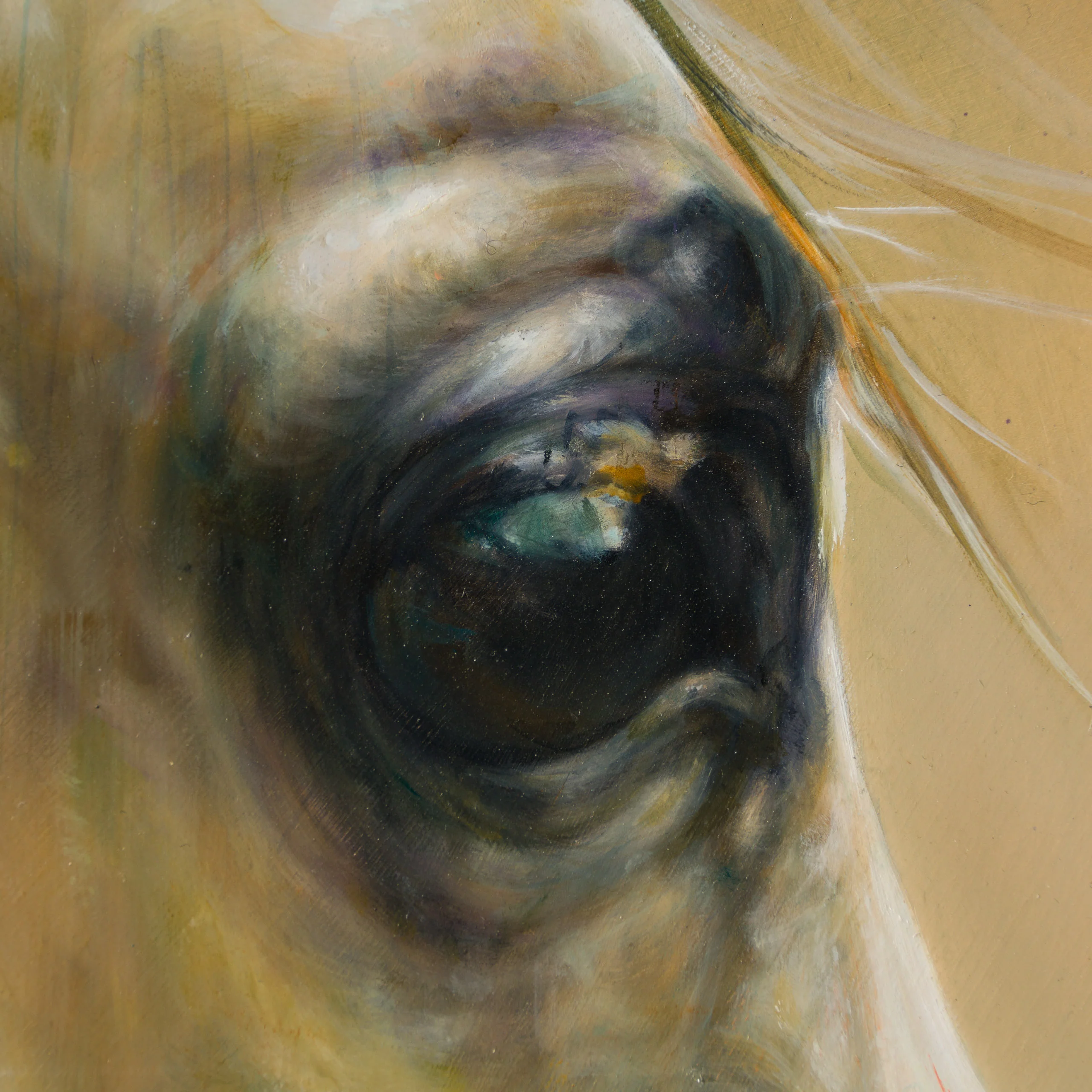 Honour - Image 3