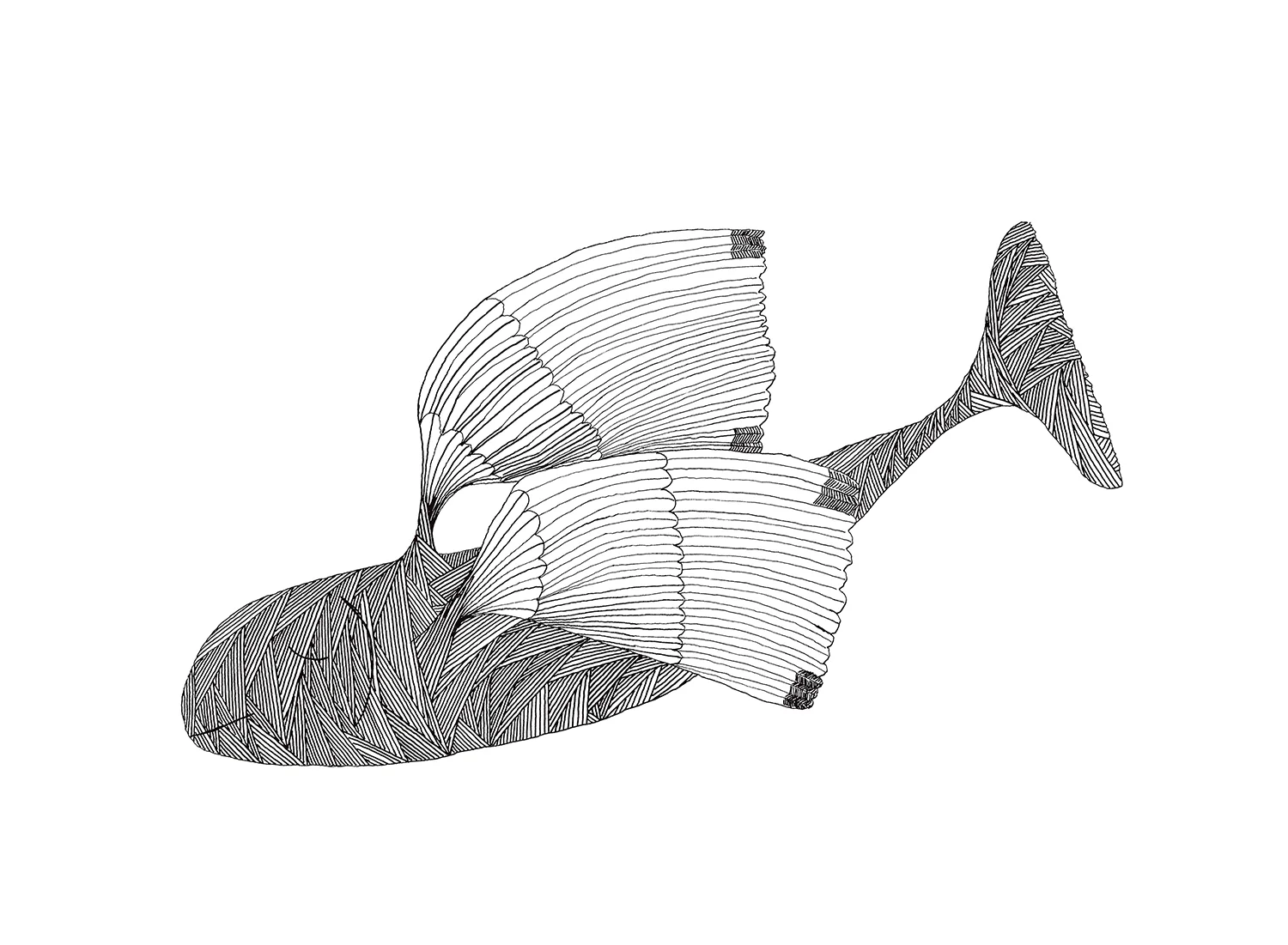 Flying Fish - Image 2