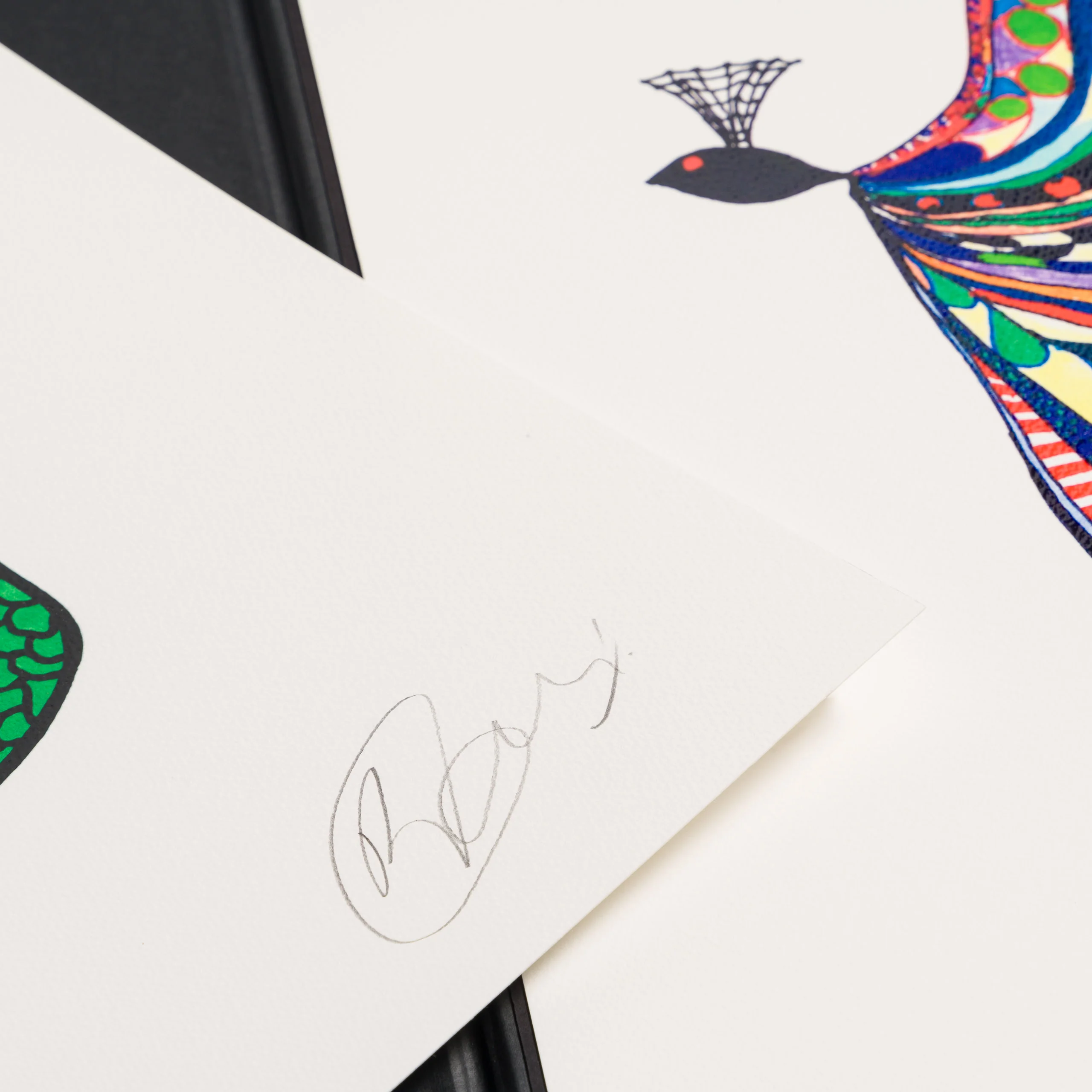 Spring 2025 | Standard Edition Portfolio Set of Five - Image 2