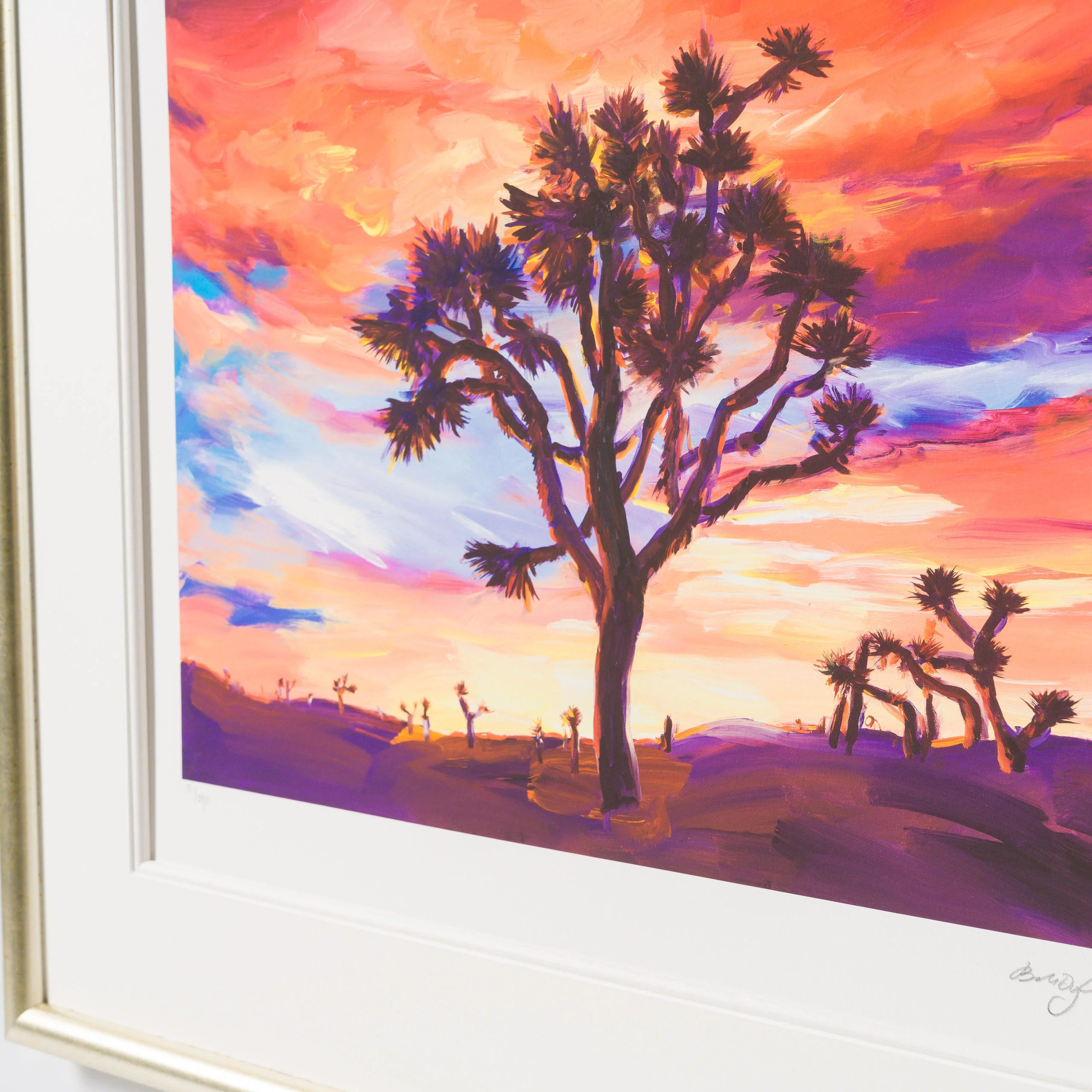 Joshua Tree, Sunrise - Image 4