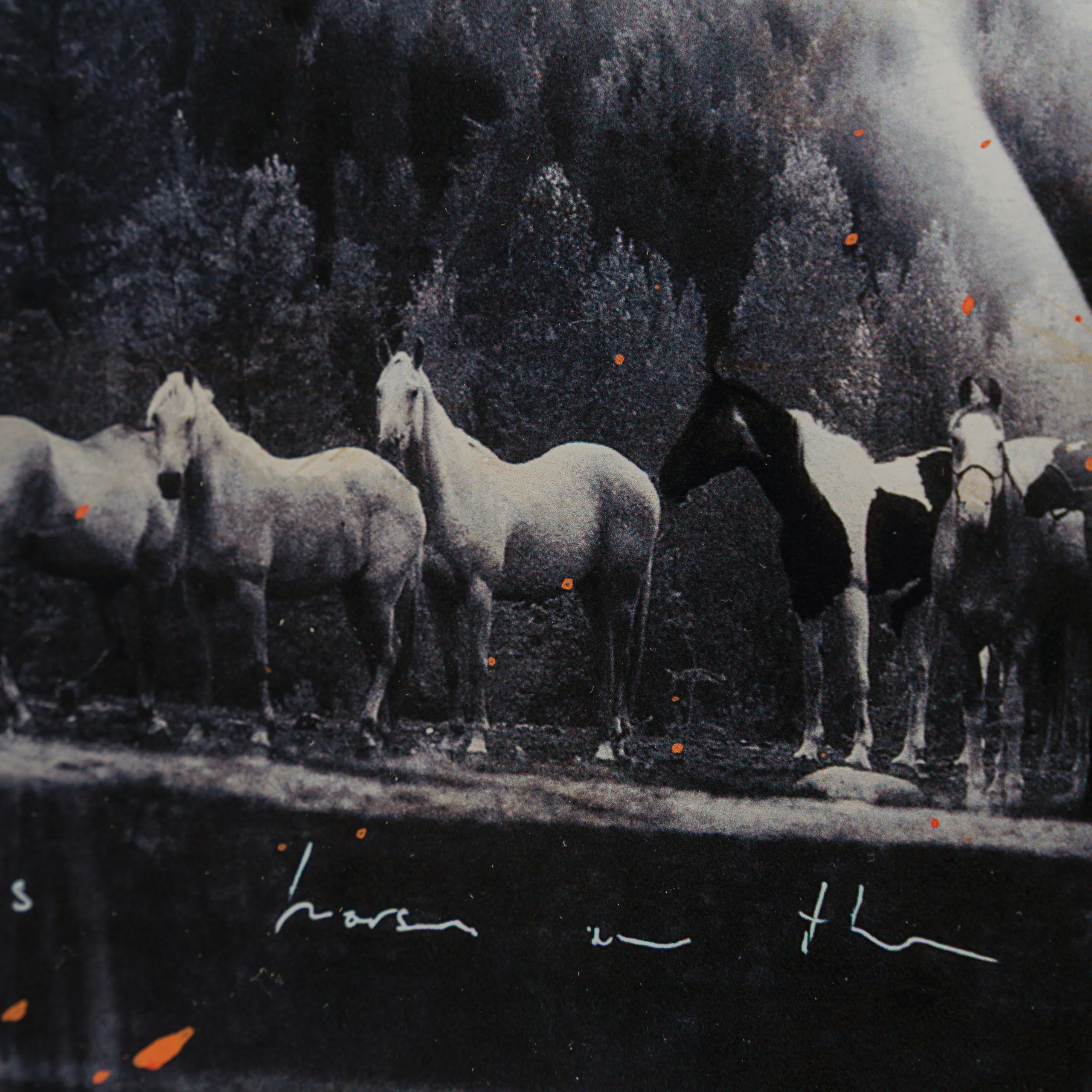 Bound in Harmony - Image 6
