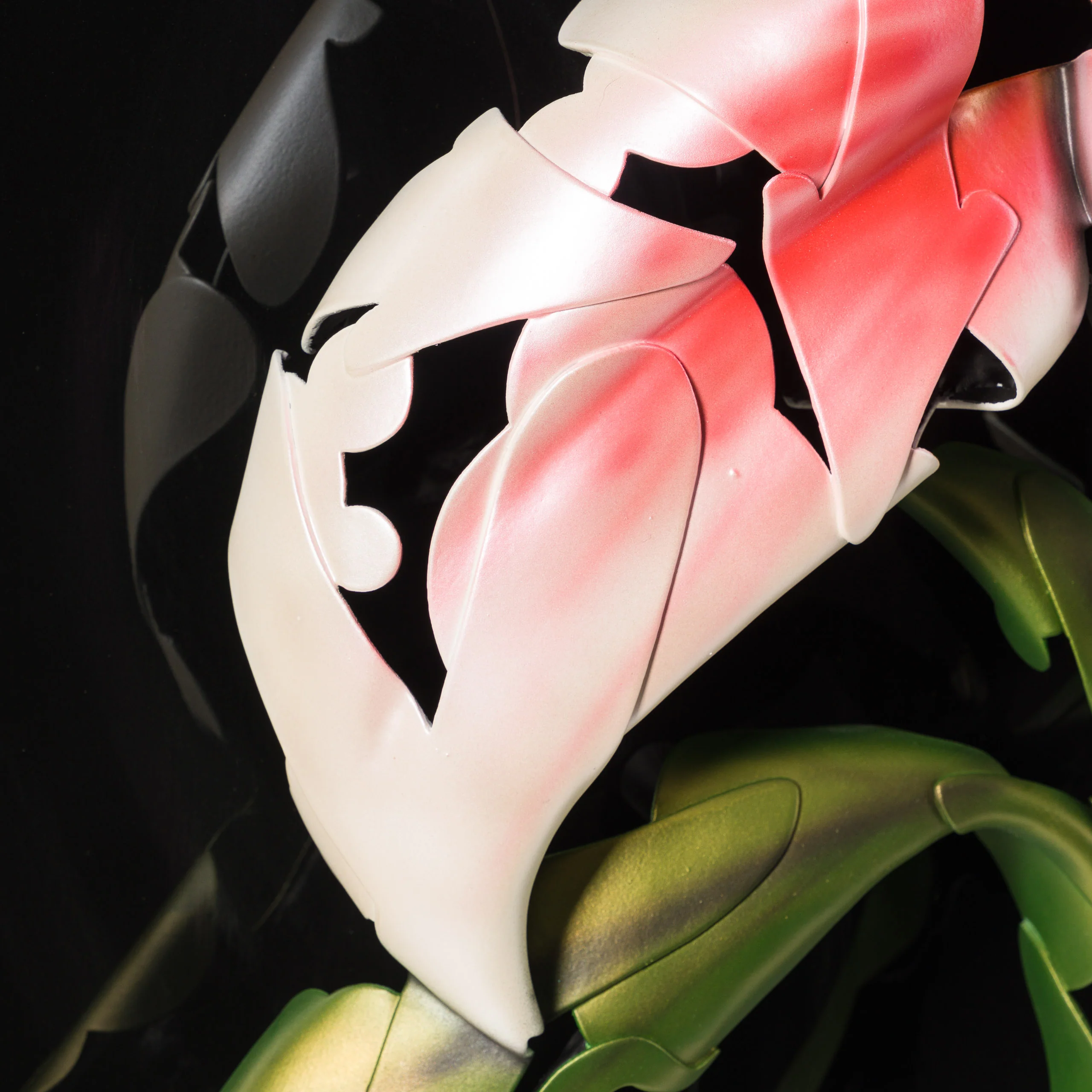 Lilium - Image 6