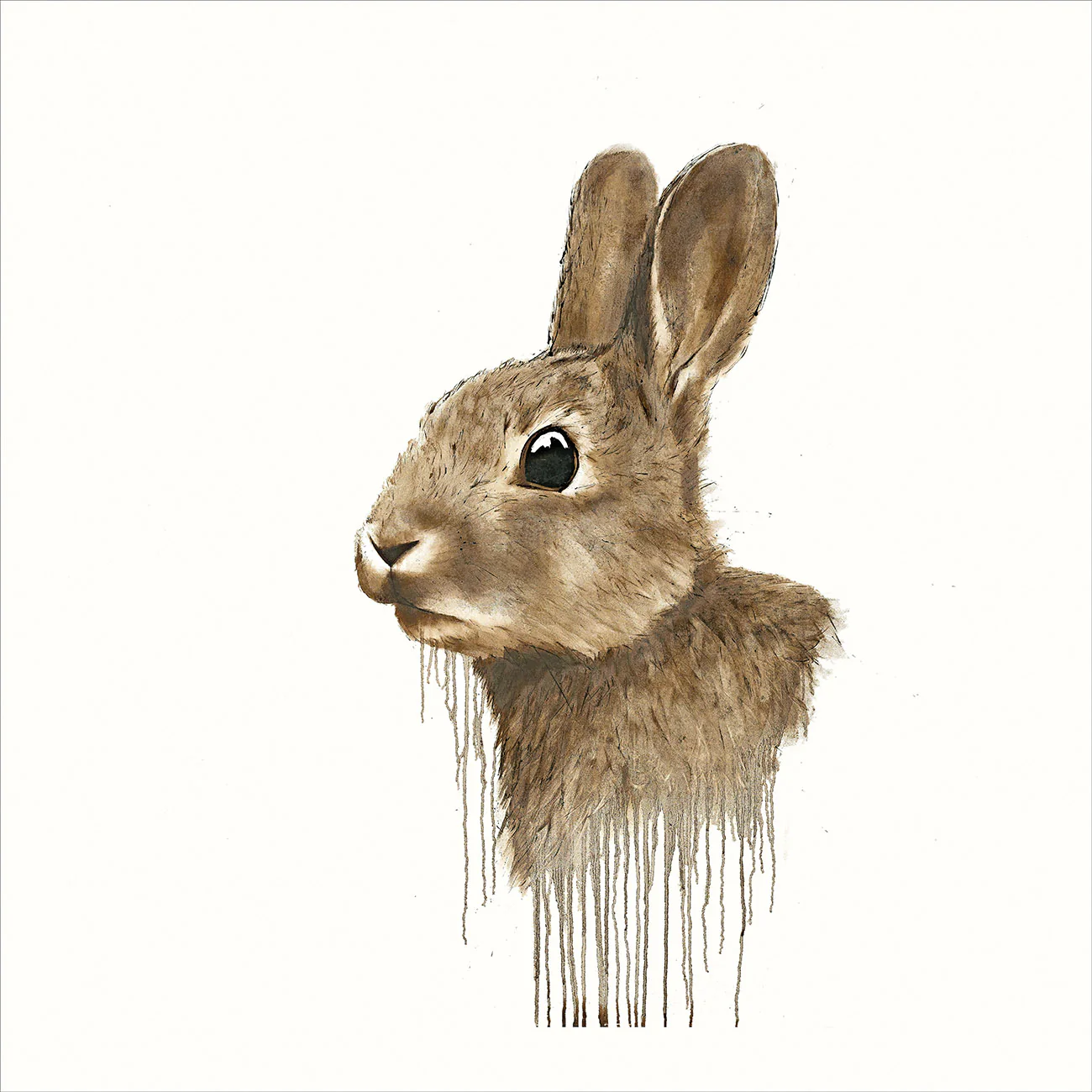 Cotton Tail - Image 2