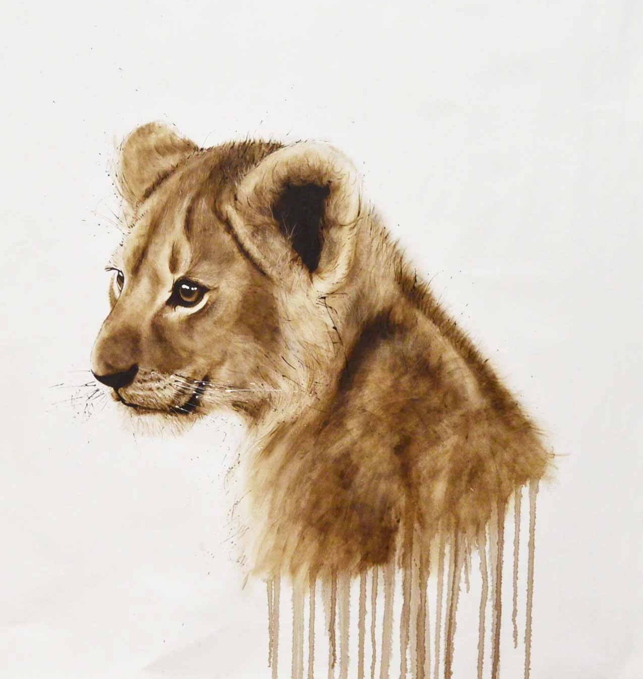 Cub
