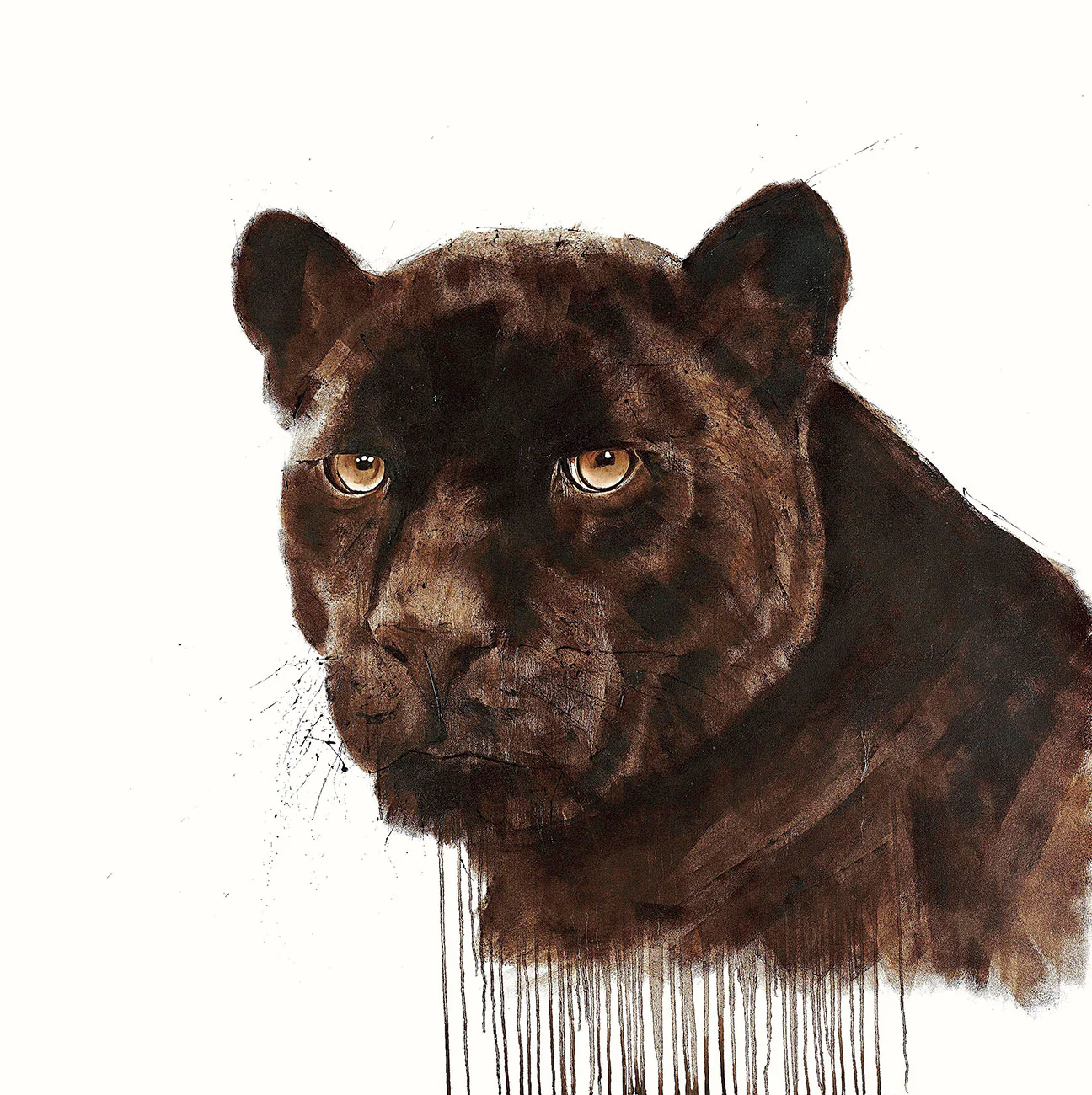Manchas - Image 2