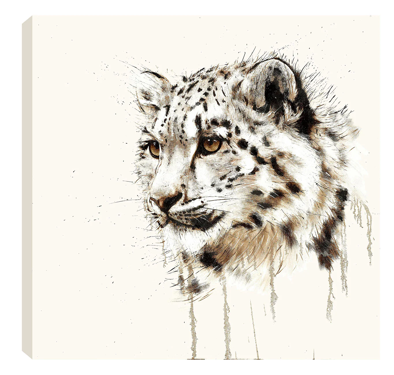 Snow Leopard