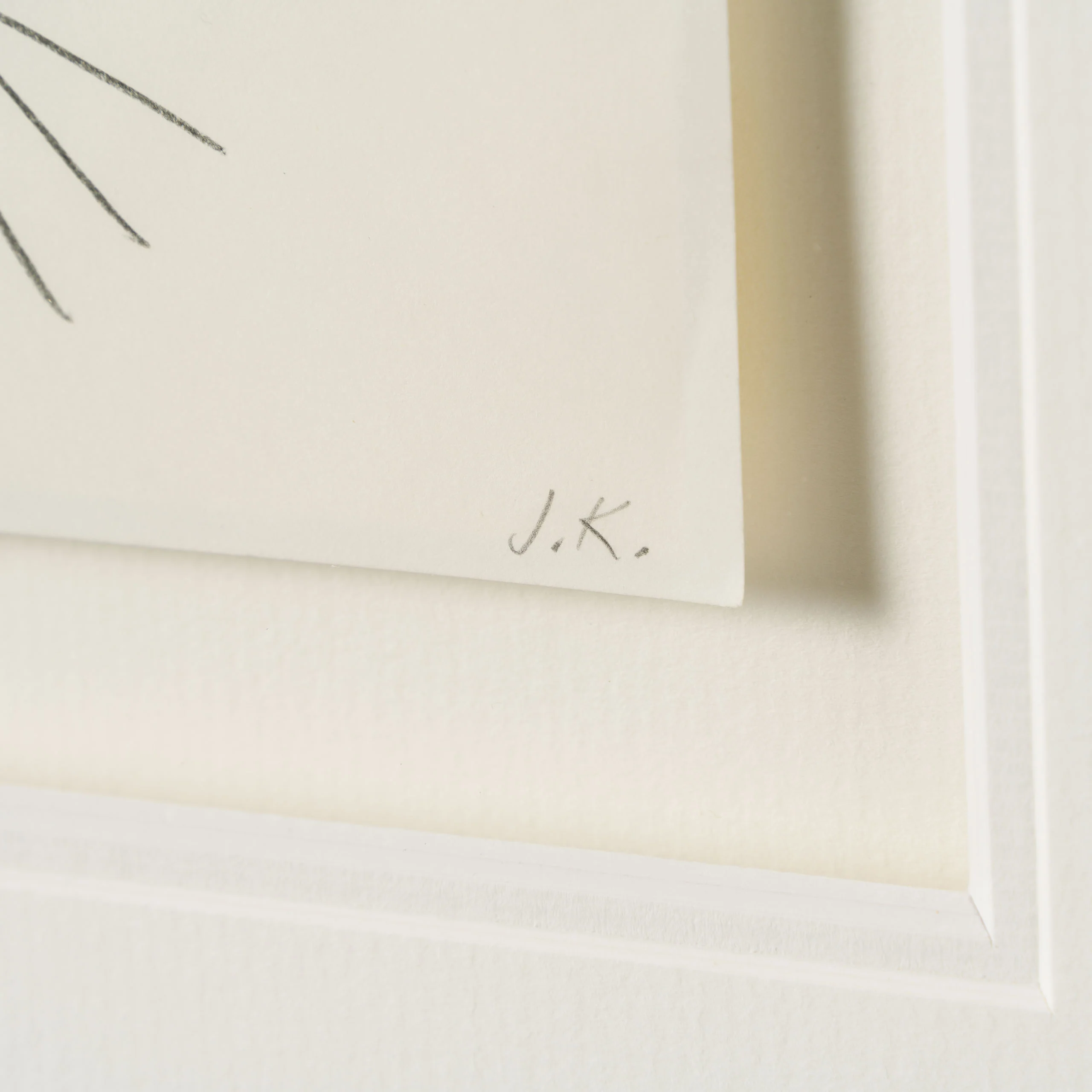 Scar (1) Storyboard - Image 4