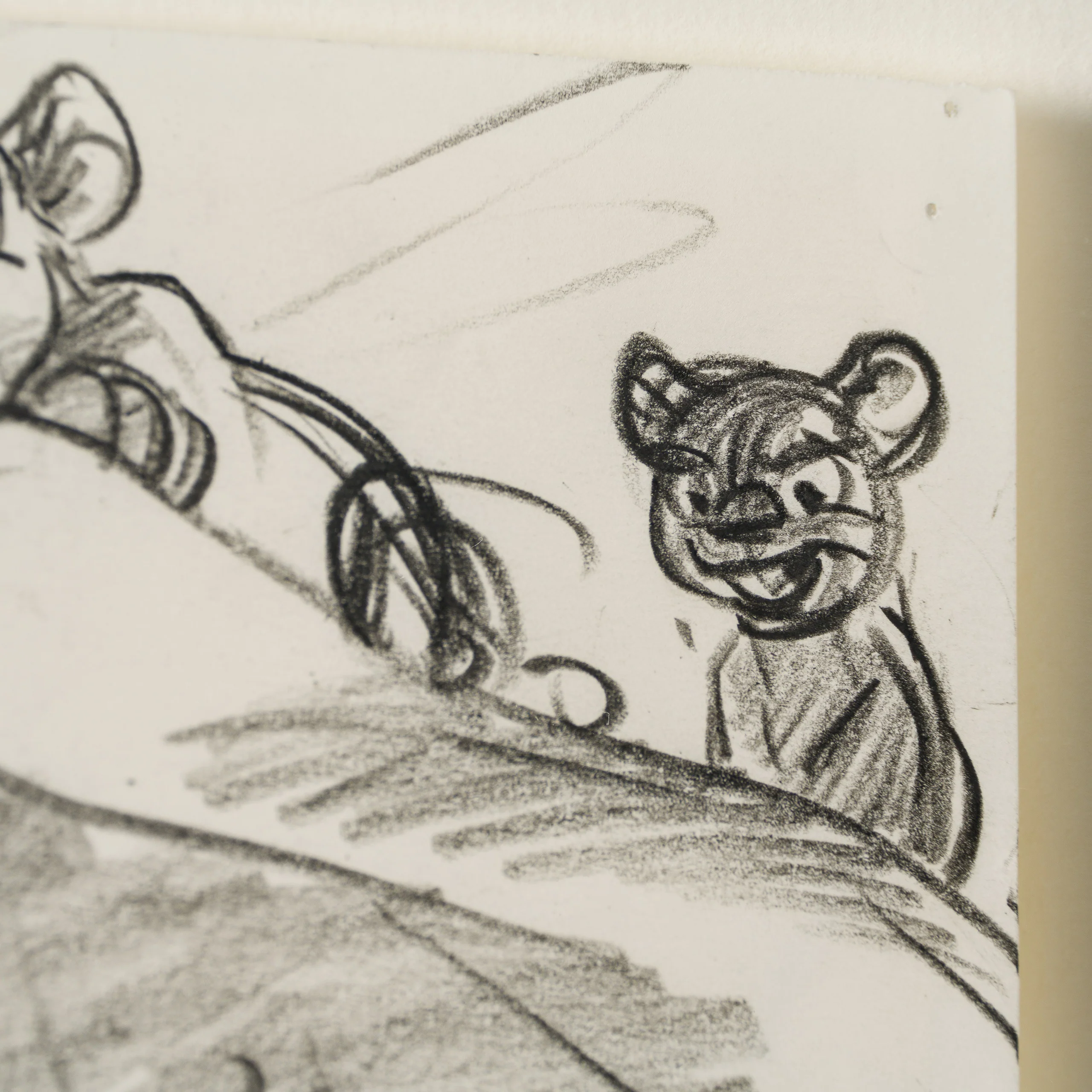 Simba and Nala (3) Storyboard - Image 3
