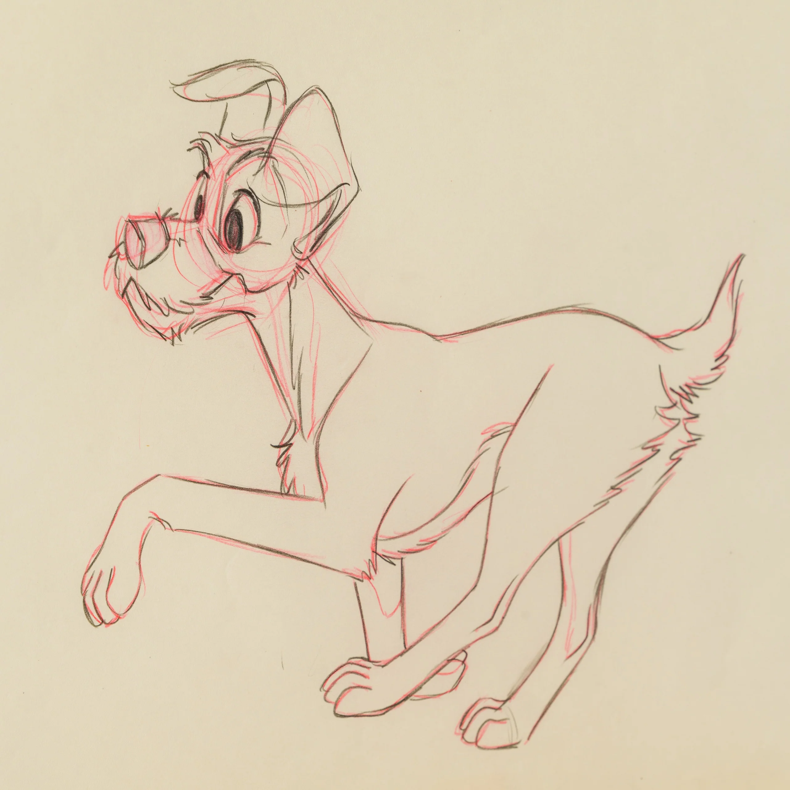 Tramp (from 'Lady and the Tramp', 1955) - Image 6