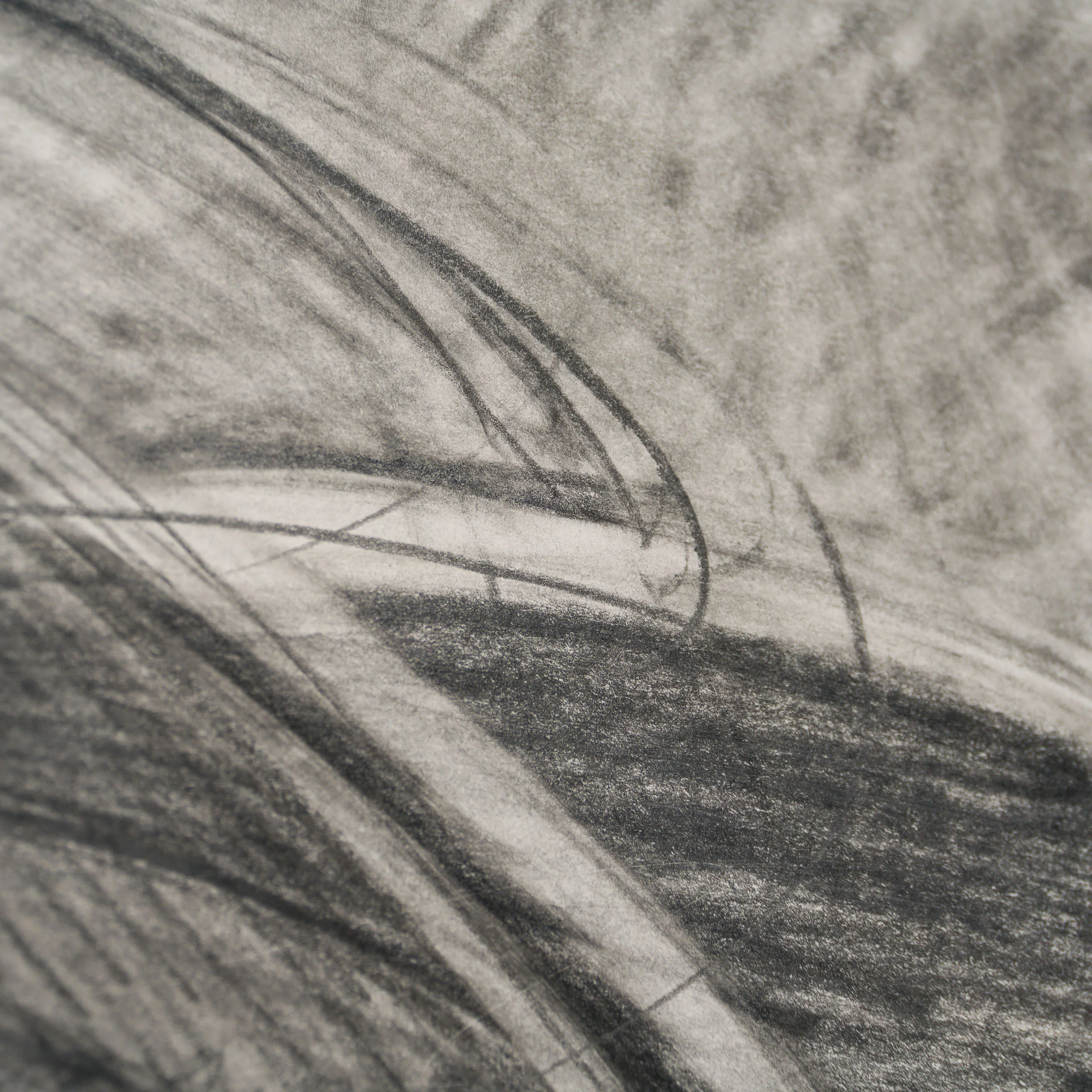 Self Portrait Study II - Image 5