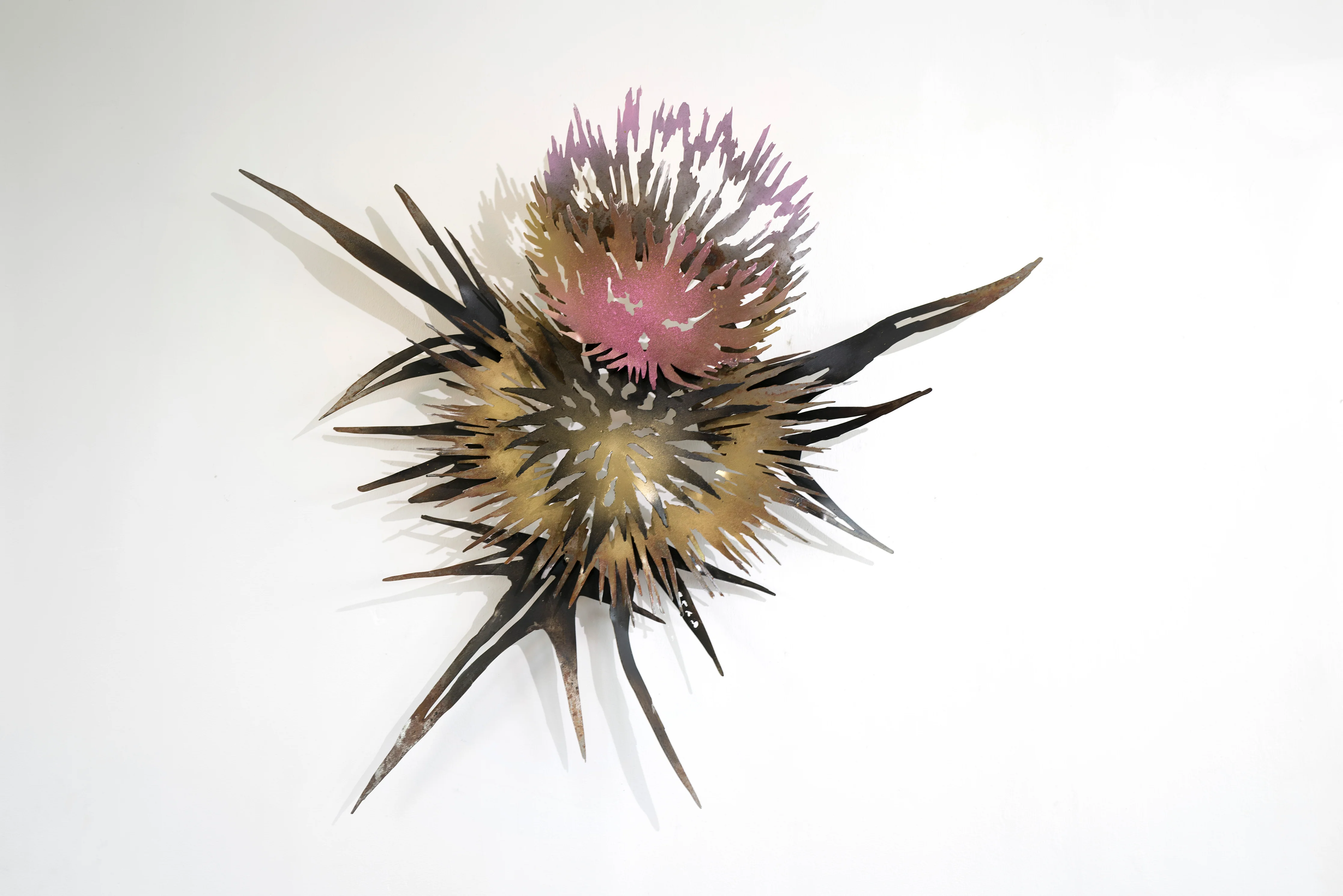 Chardon Grand – Thistle