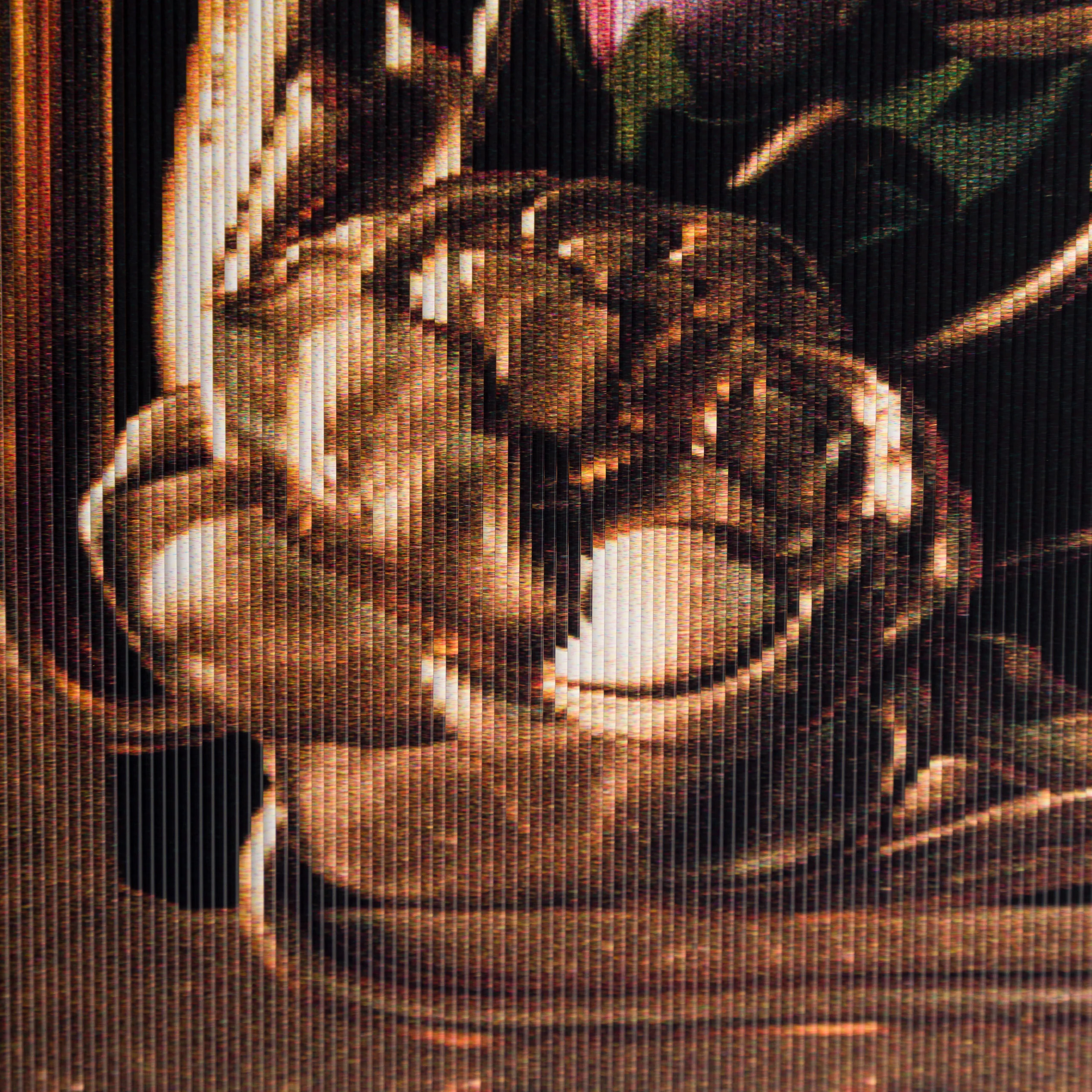 Botanic Kingdom Gold - Image 2