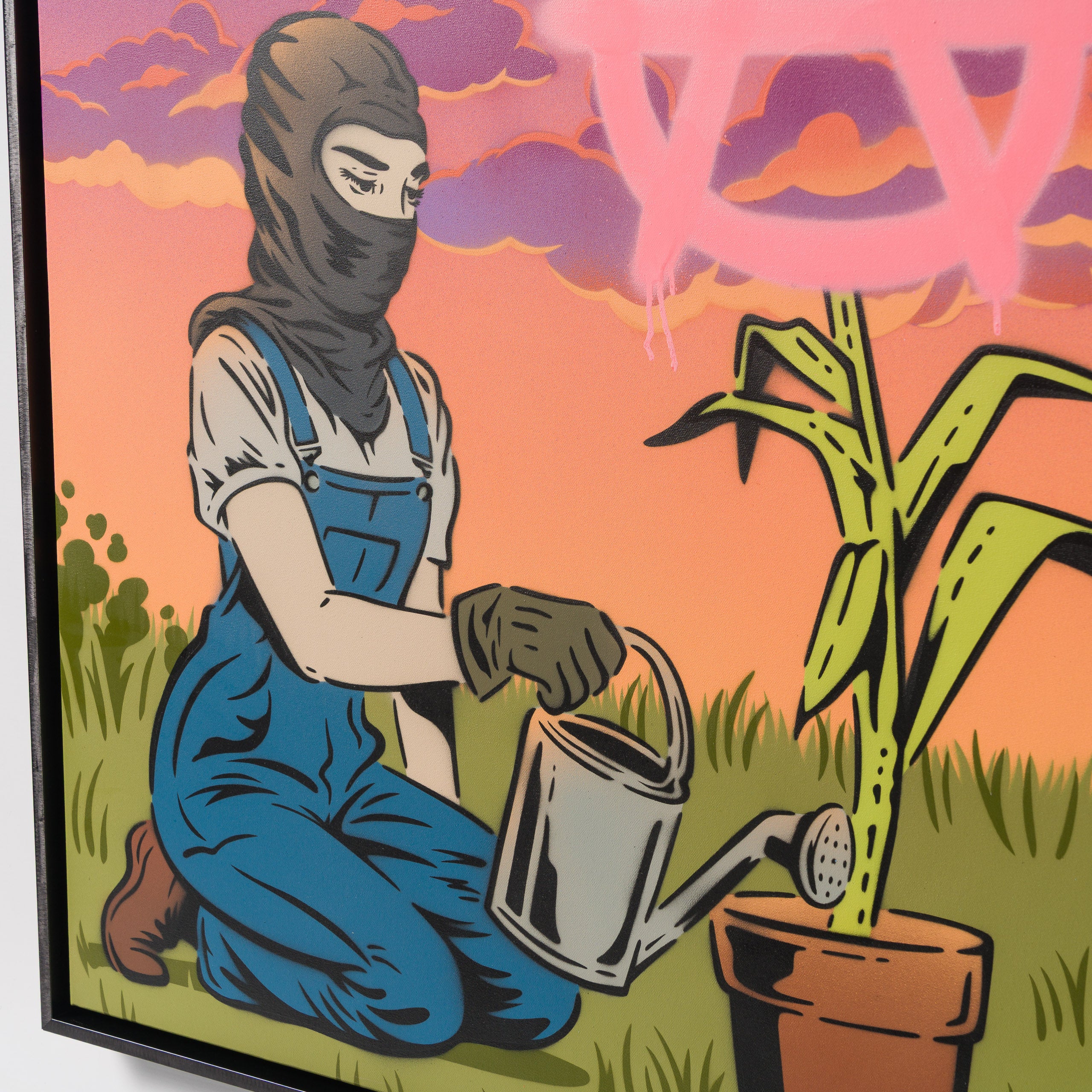 Growing Anarchy | Sunset - Image 6