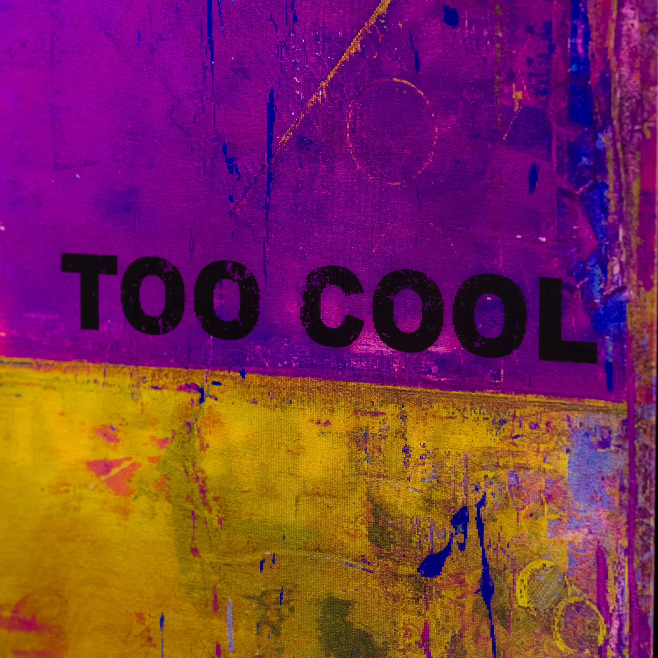 Too Cool To Give A F*** - Image 8