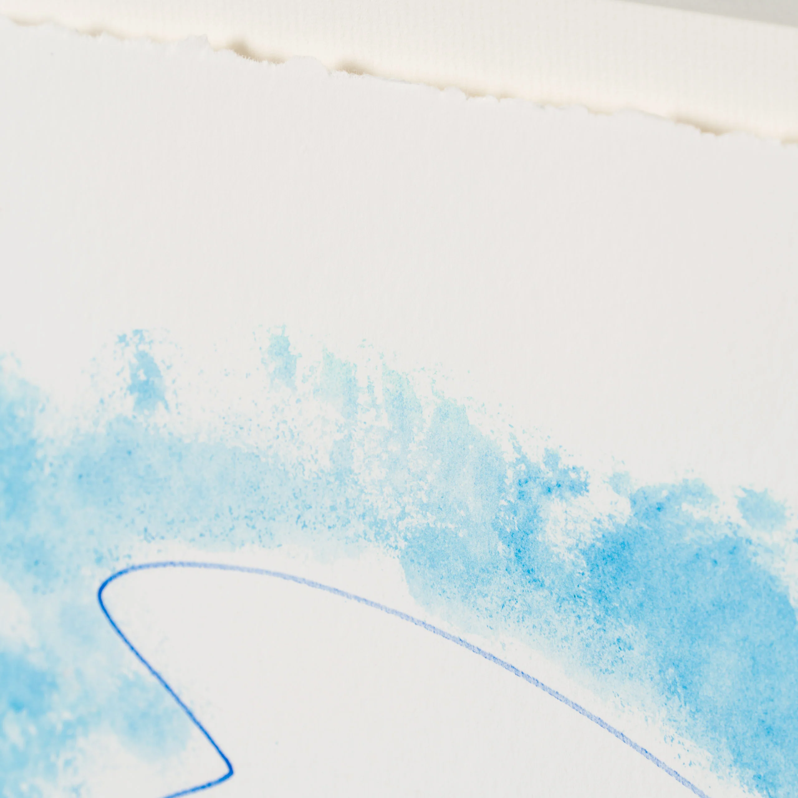 Blue Dove of Peace - Image 6