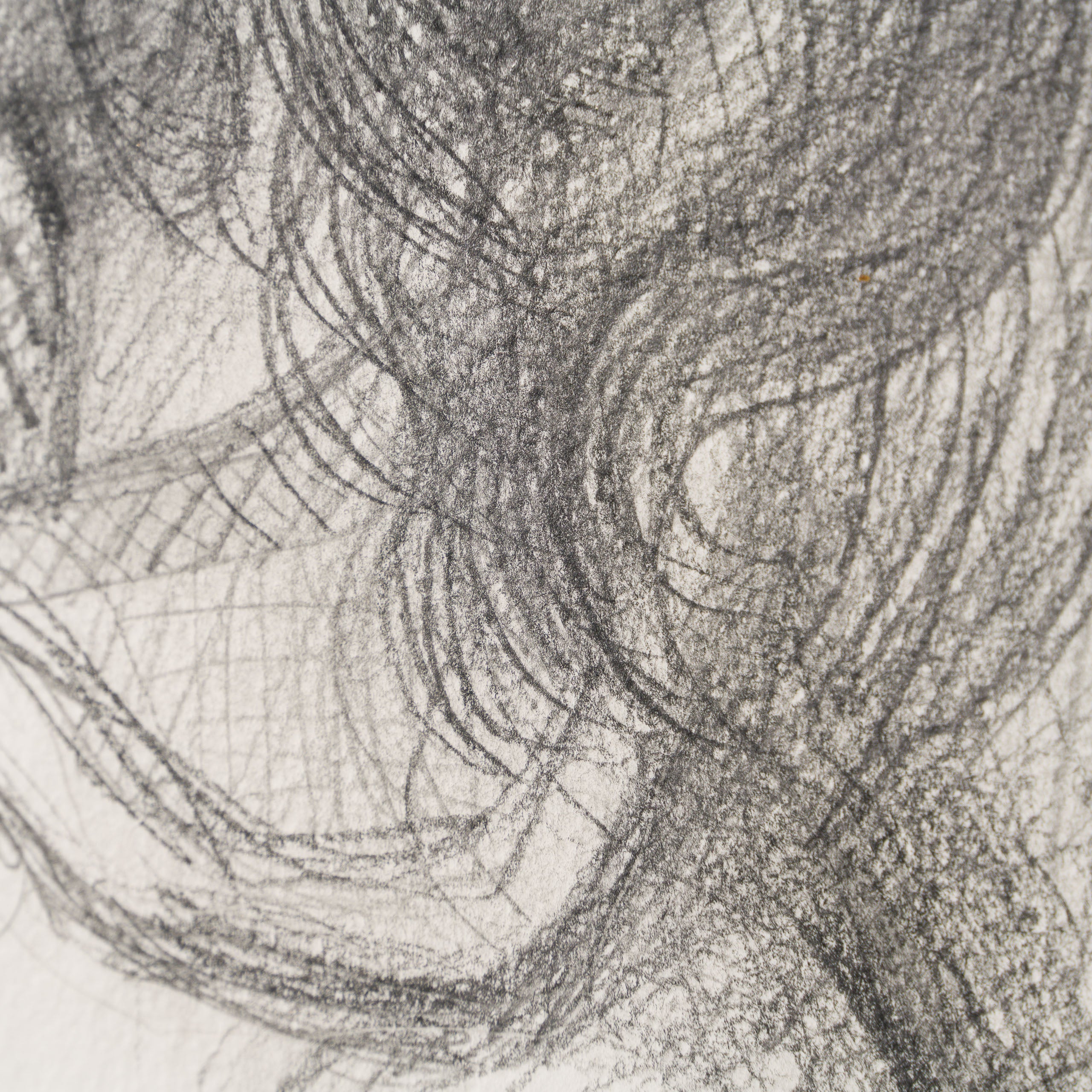 Pencil Study (3) of Sylvette David In The Style Of Pablo Picasso 1954 - Image 7