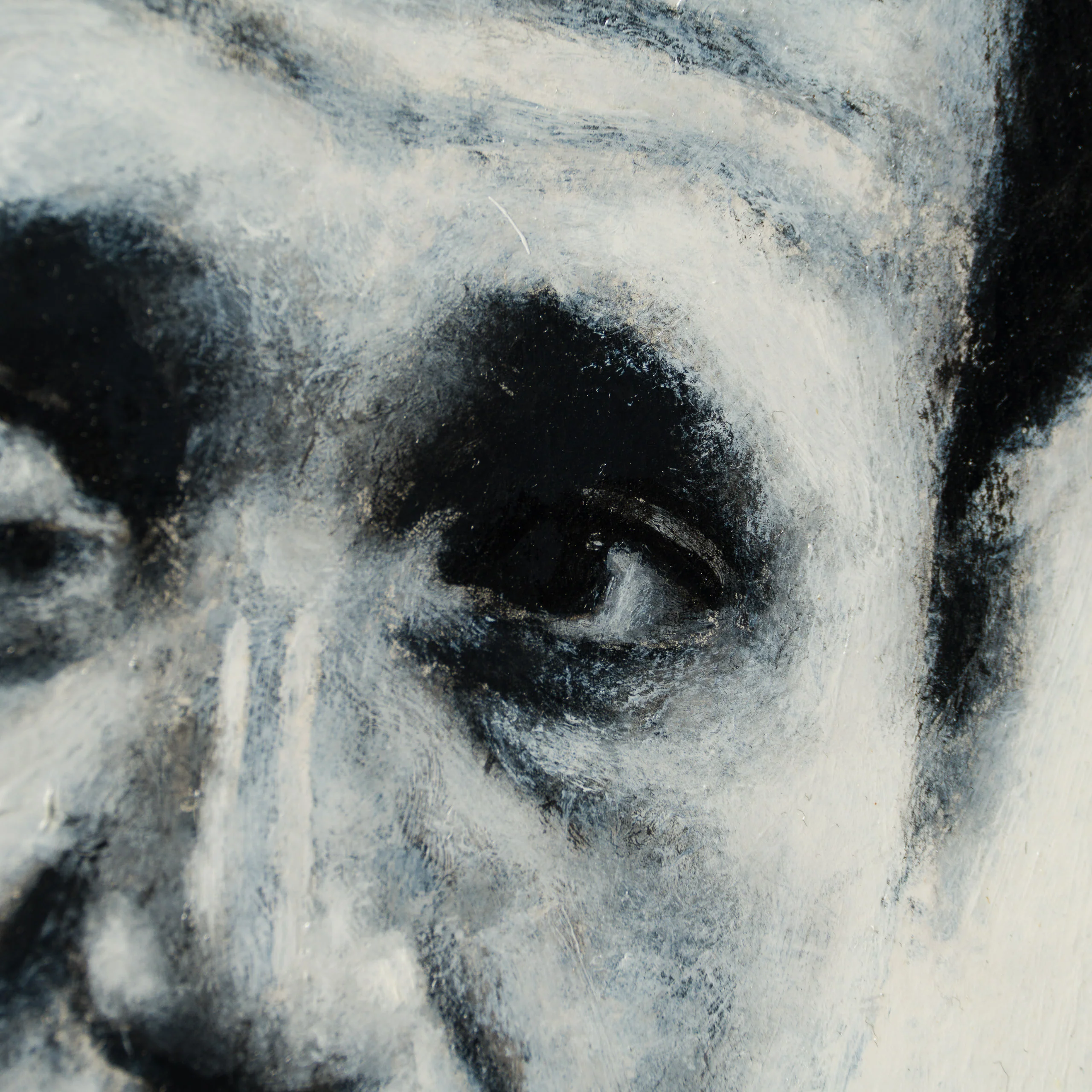 Roy Scheider - Image 3