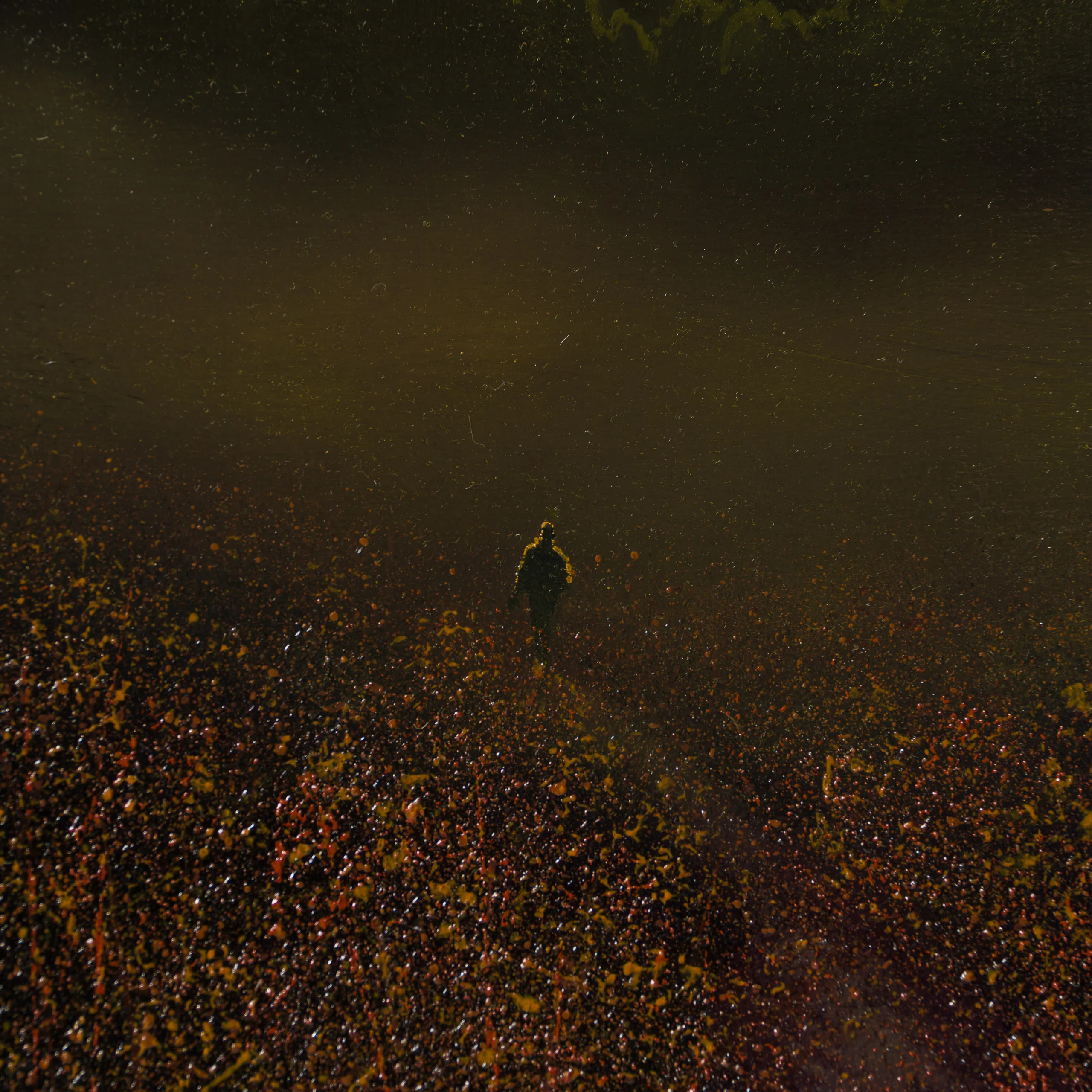 Highland Spirit - Image 2