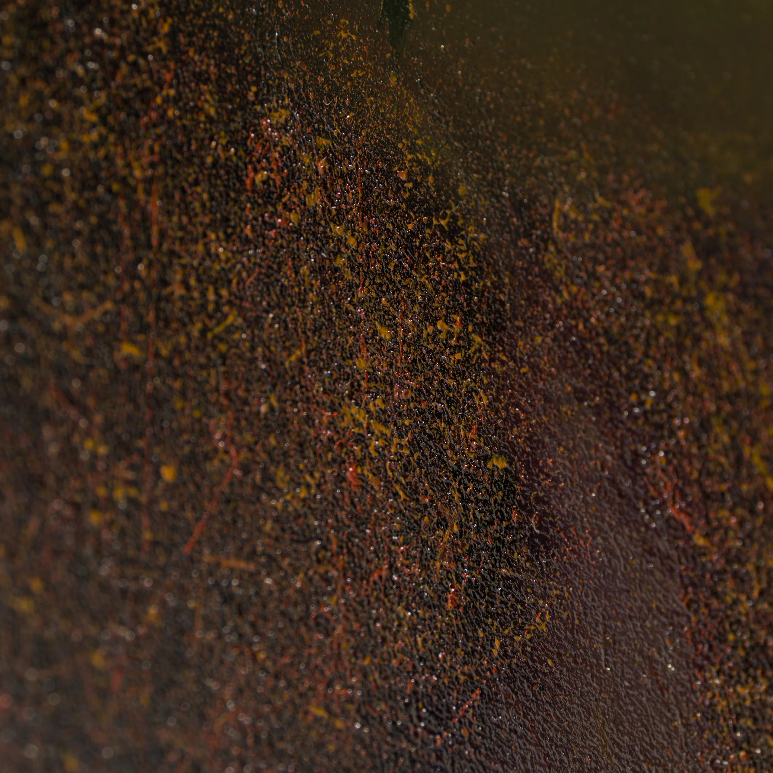 Highland Spirit - Image 7