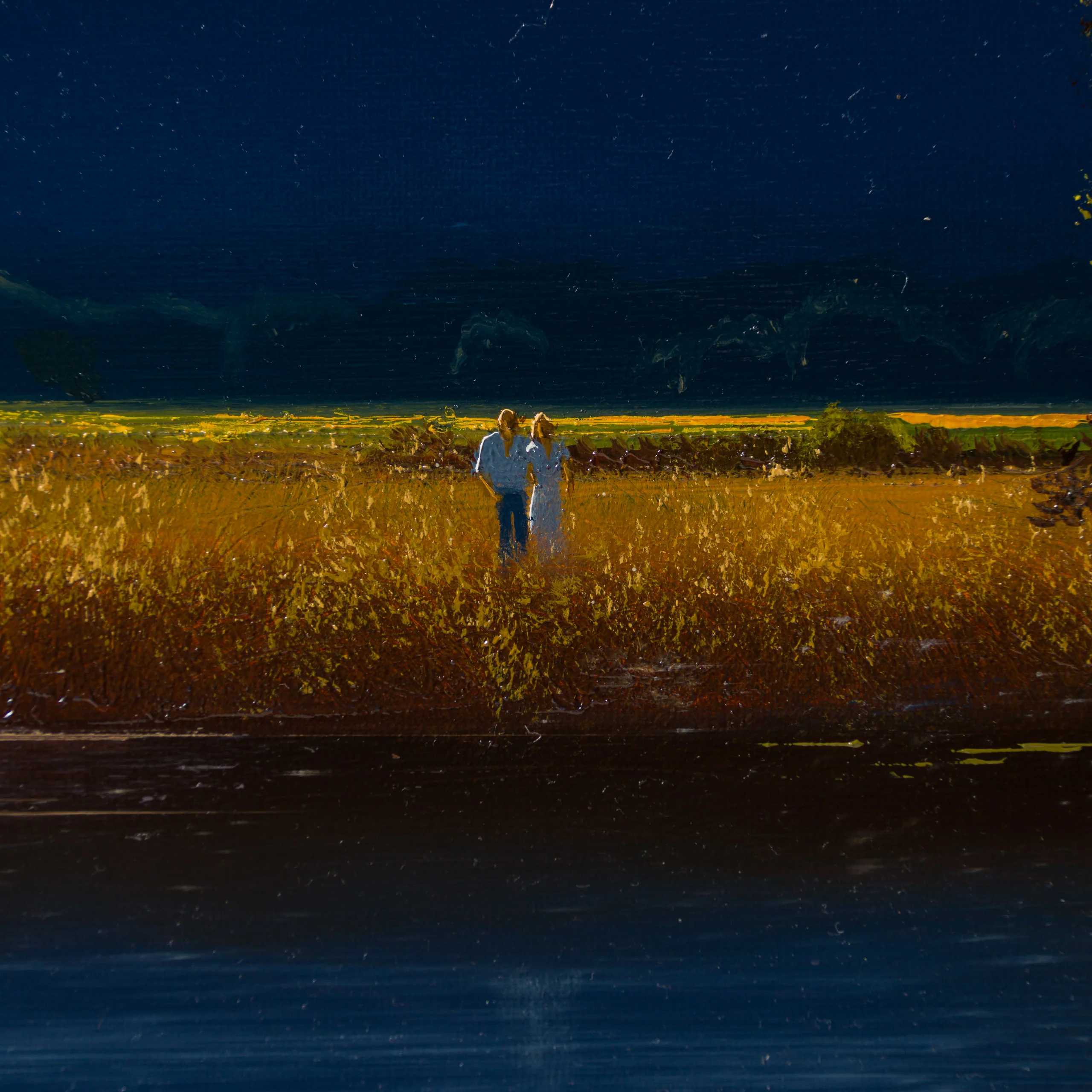 Our Beautiful Land - Image 2