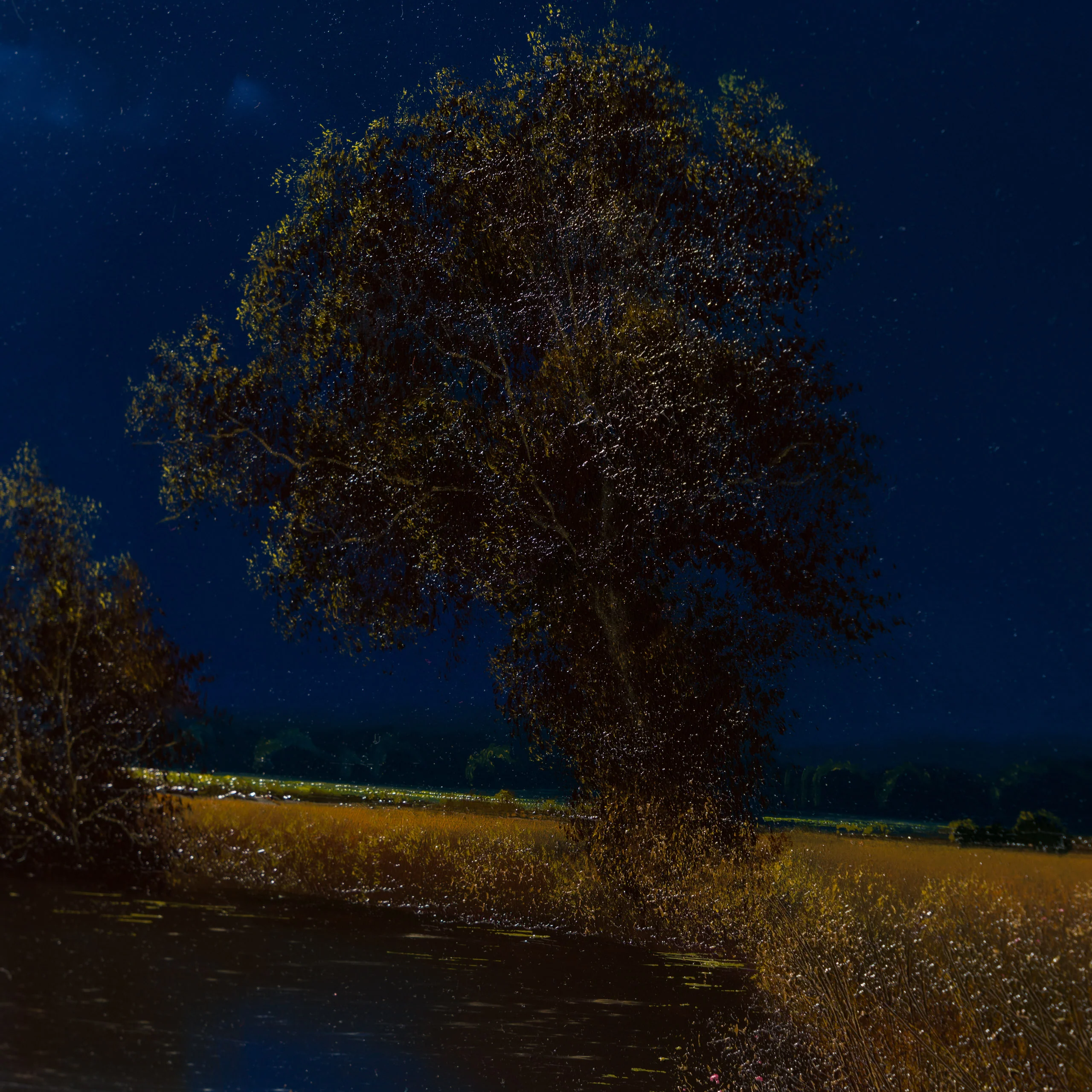 Our Beautiful Land - Image 6