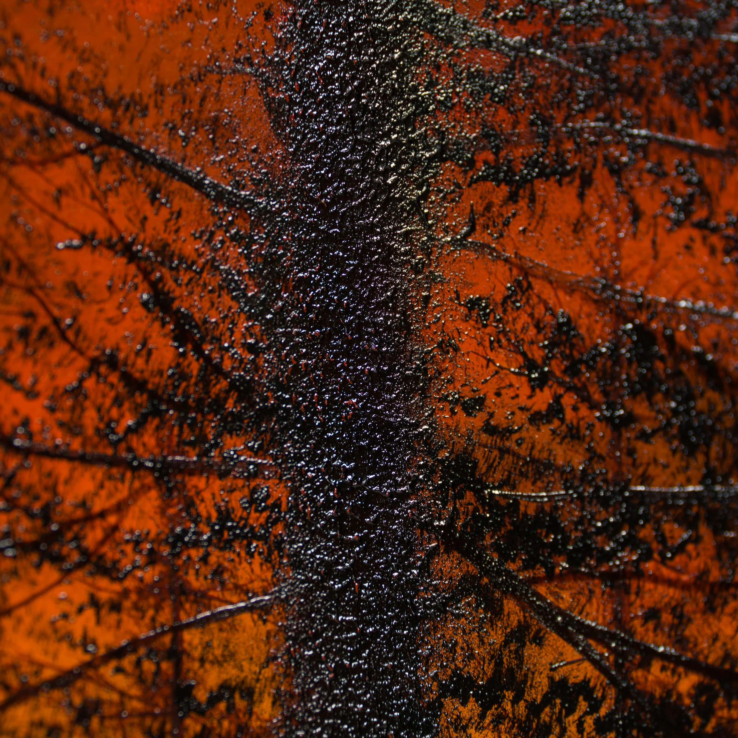 Sanctuary Found - Image 6