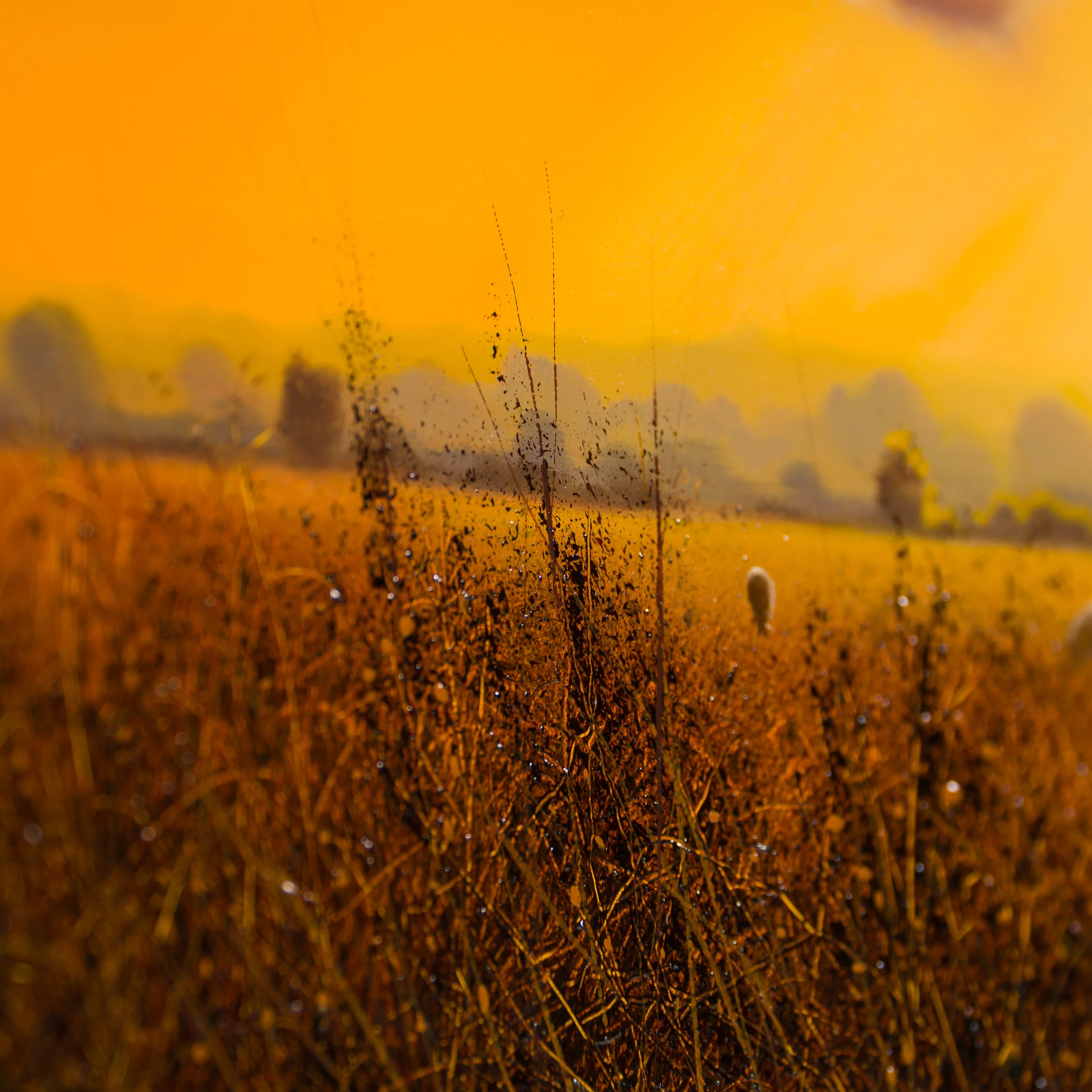 Sunburst Pasture - Image 4