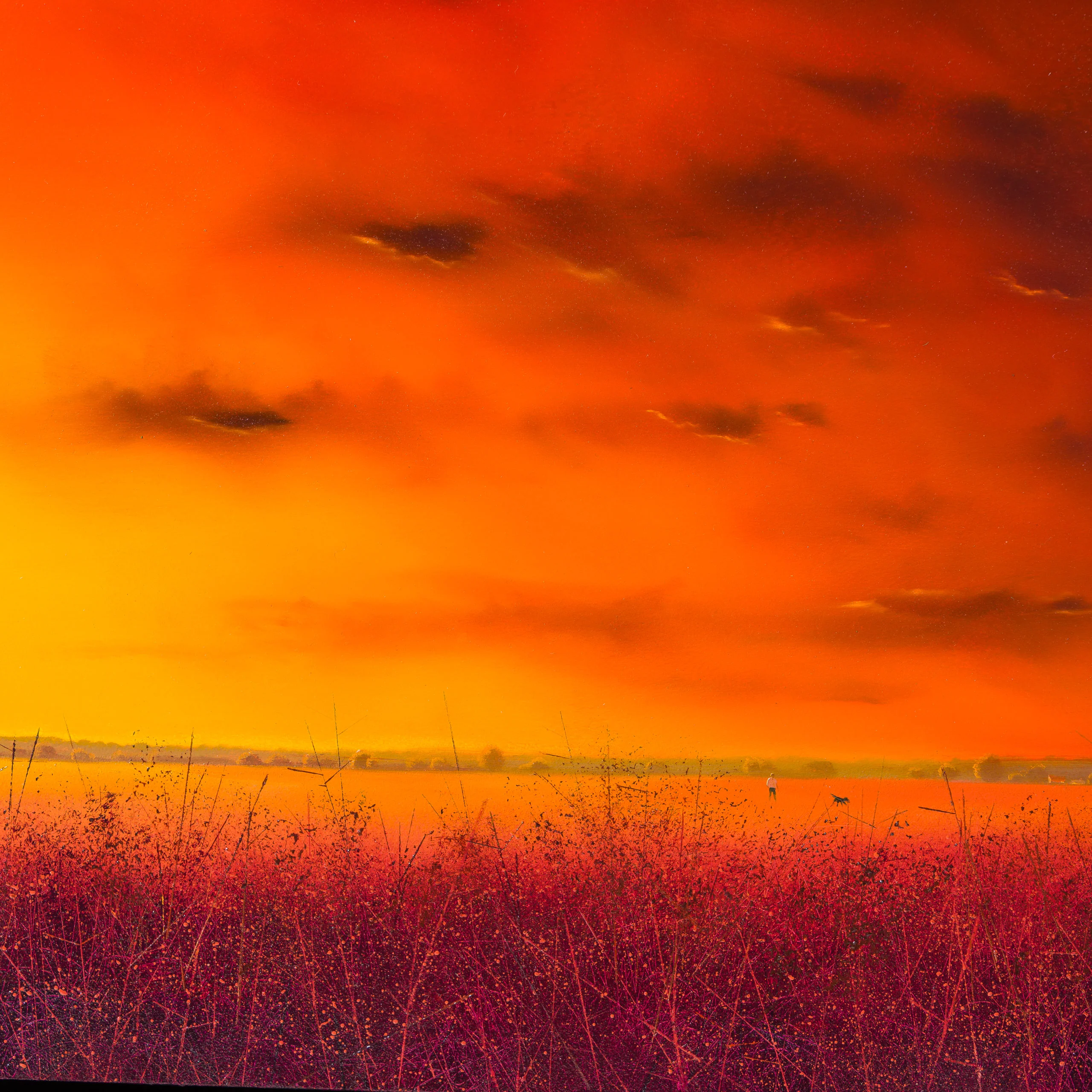 Twilight Fire - Image 6