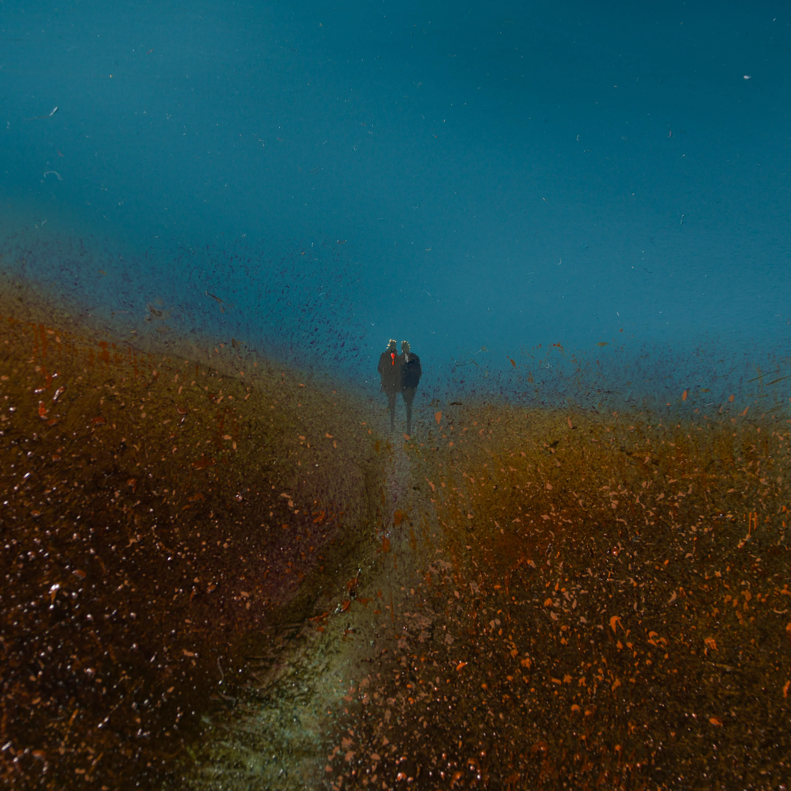 Where Legends Lay - Image 2
