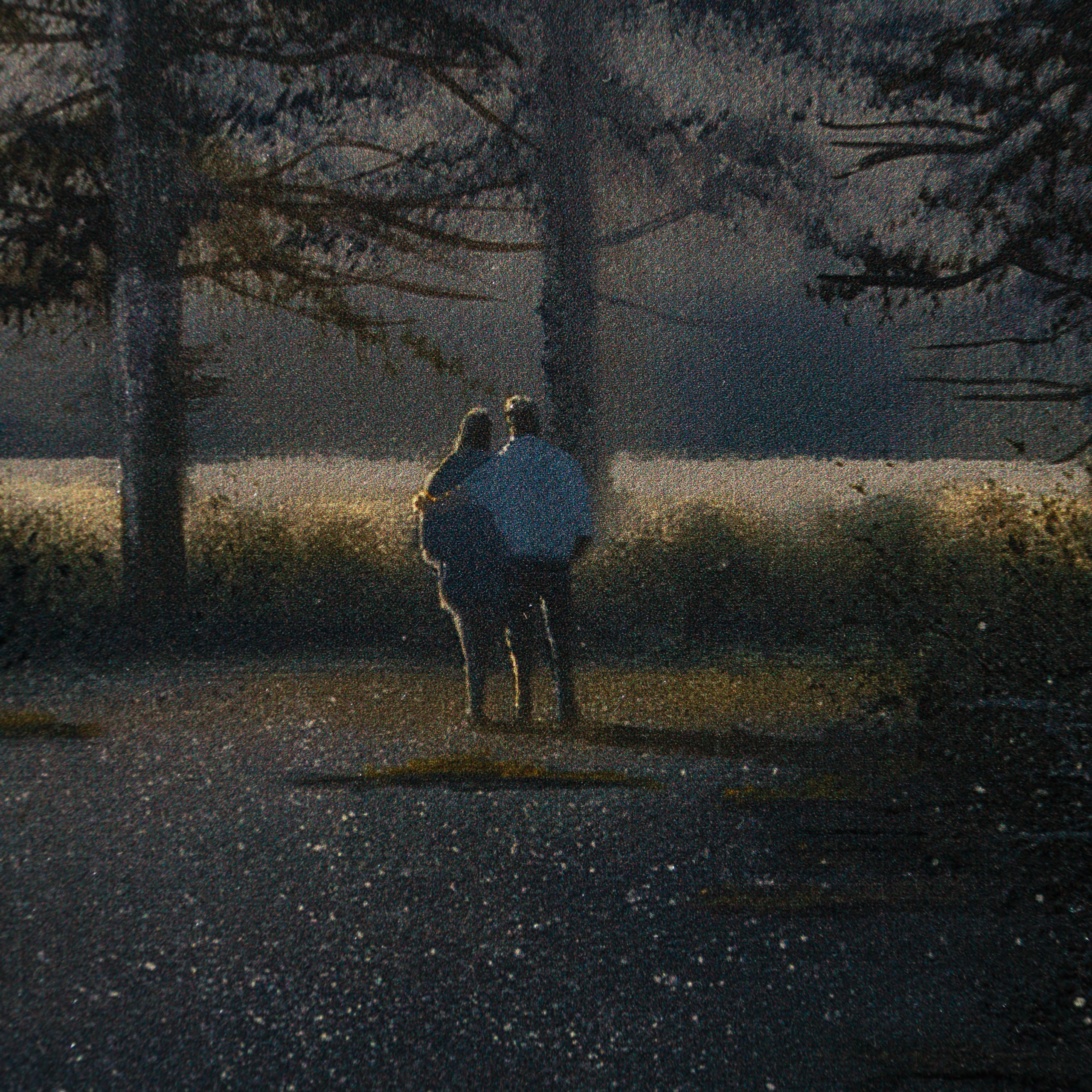 Woodland Whisper - Image 2