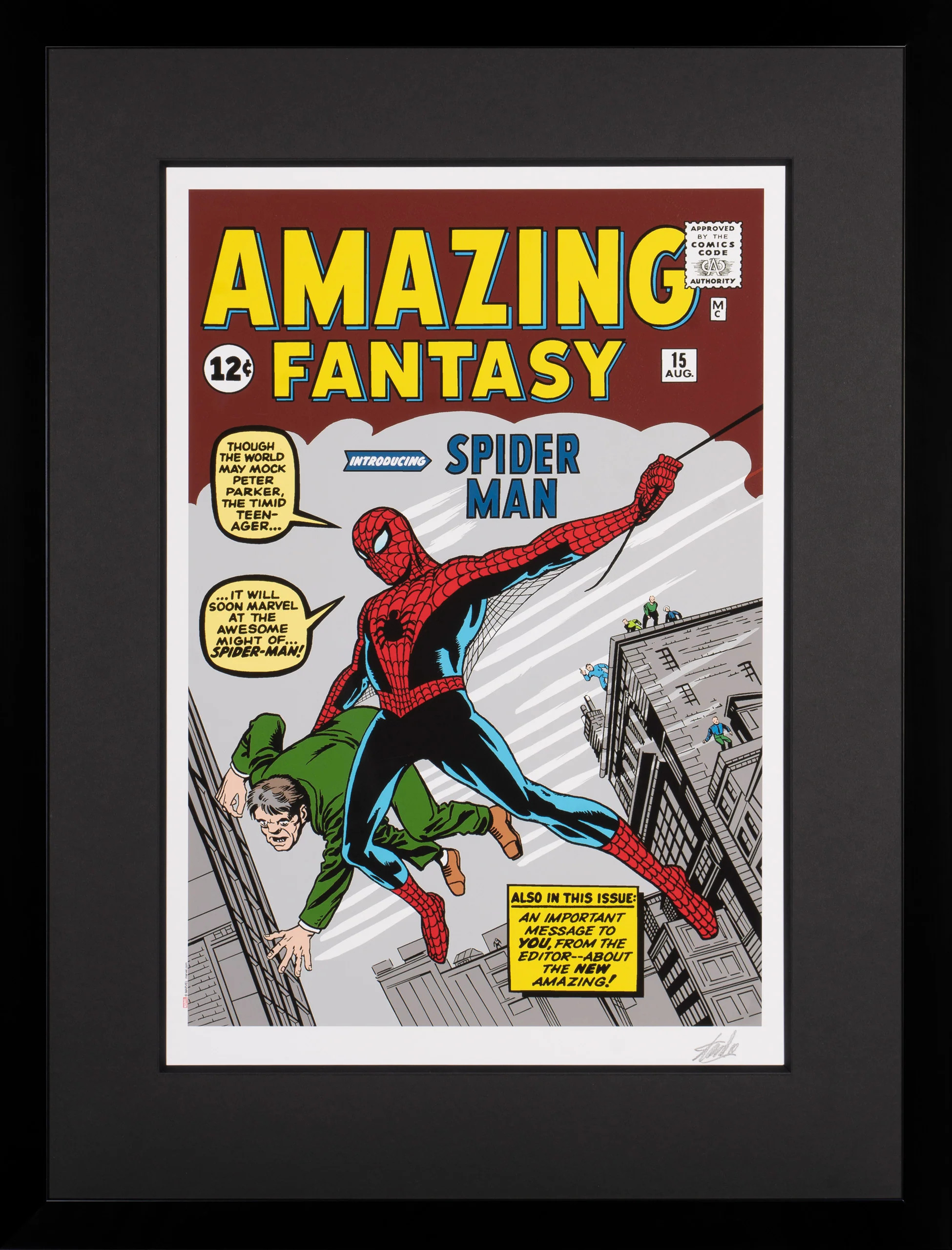 Amazing Fantasy #15 - Introducing Spider-Man | Giclée on paper | Hand-signed by Stan Lee - Image 5