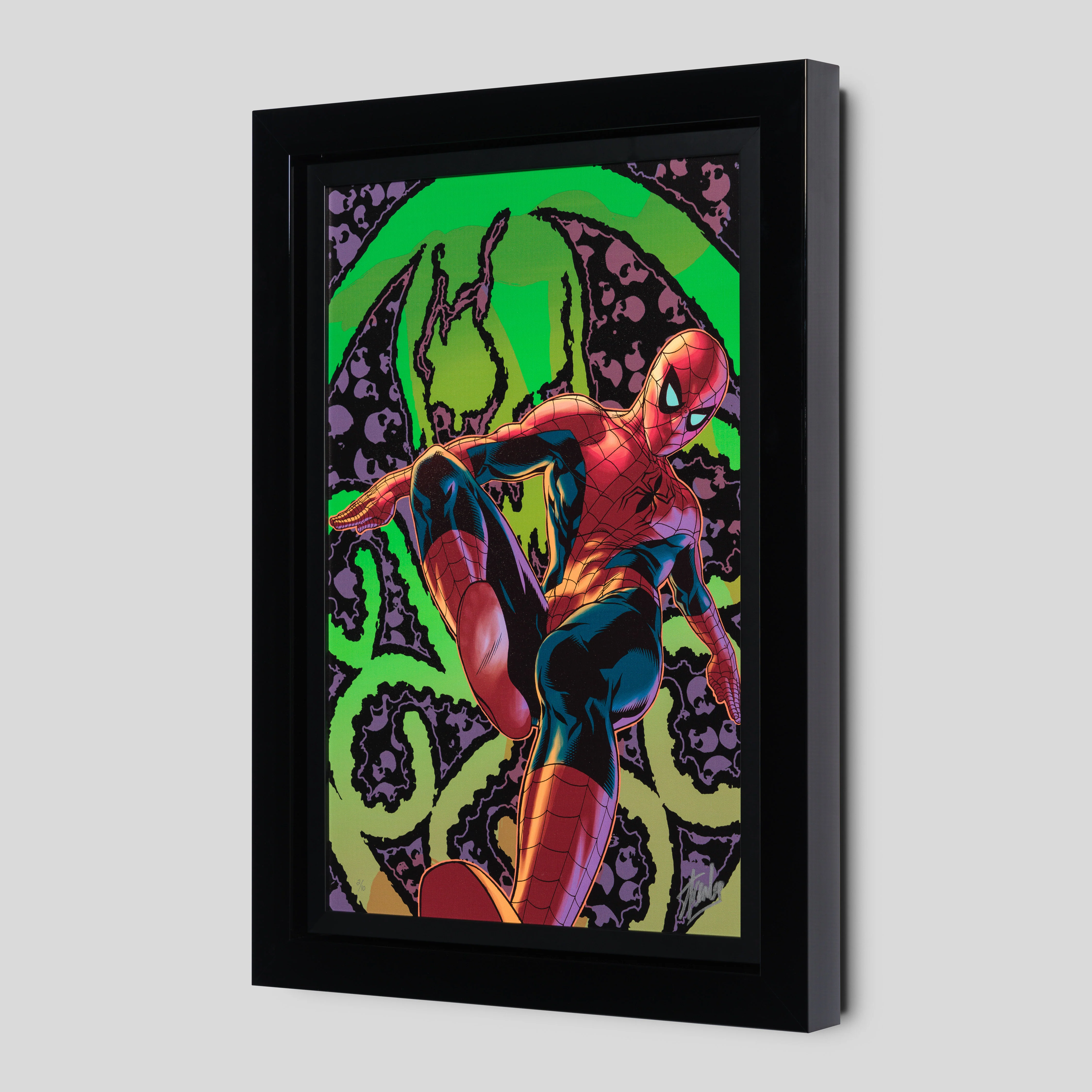 Amazing Spider-Man #524 | Standard Edition | Hand-signed by Stan Lee - Image 5