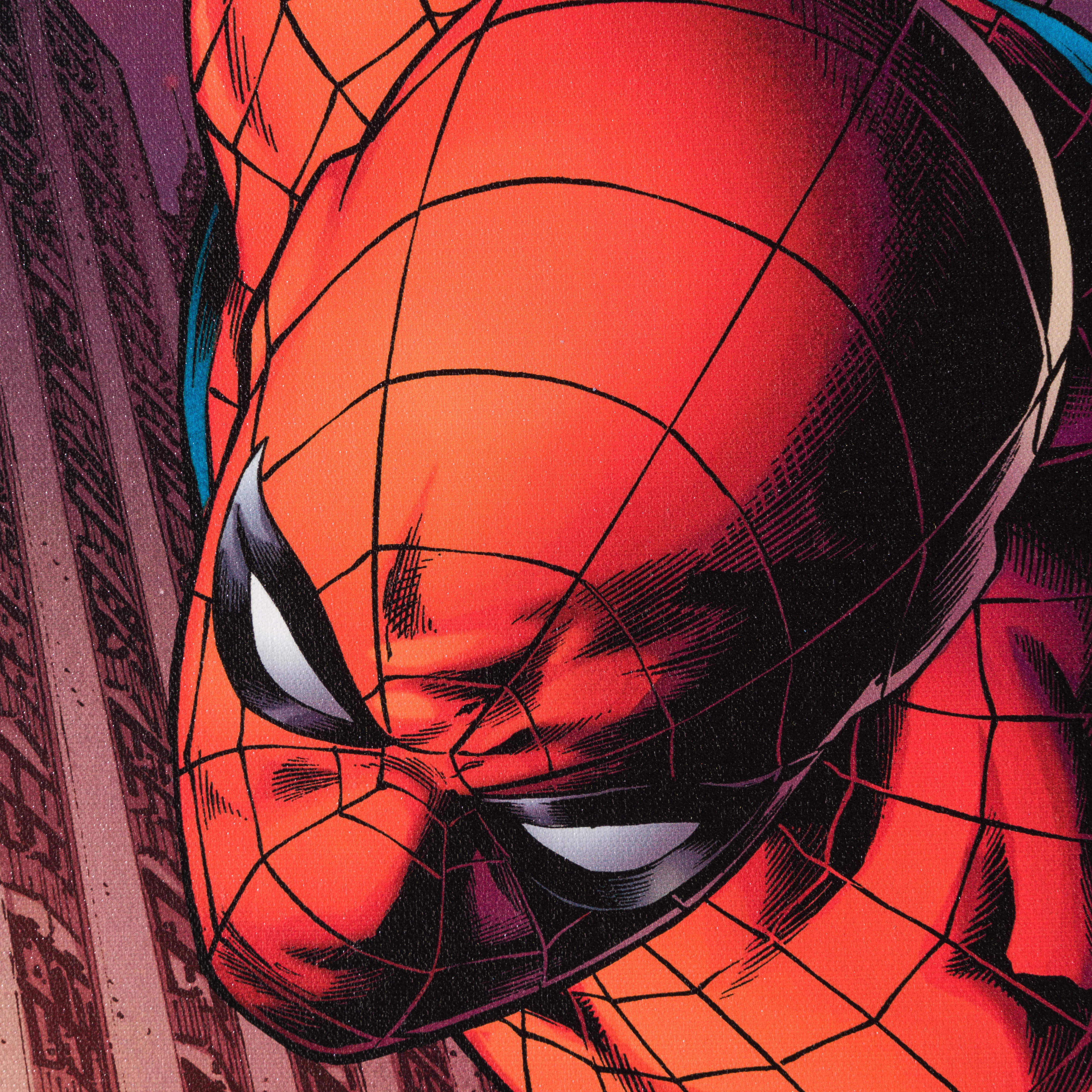 Amazing Spider-Man #641 | Collector's Edition | Hand-signed by Stan Lee - Image 2