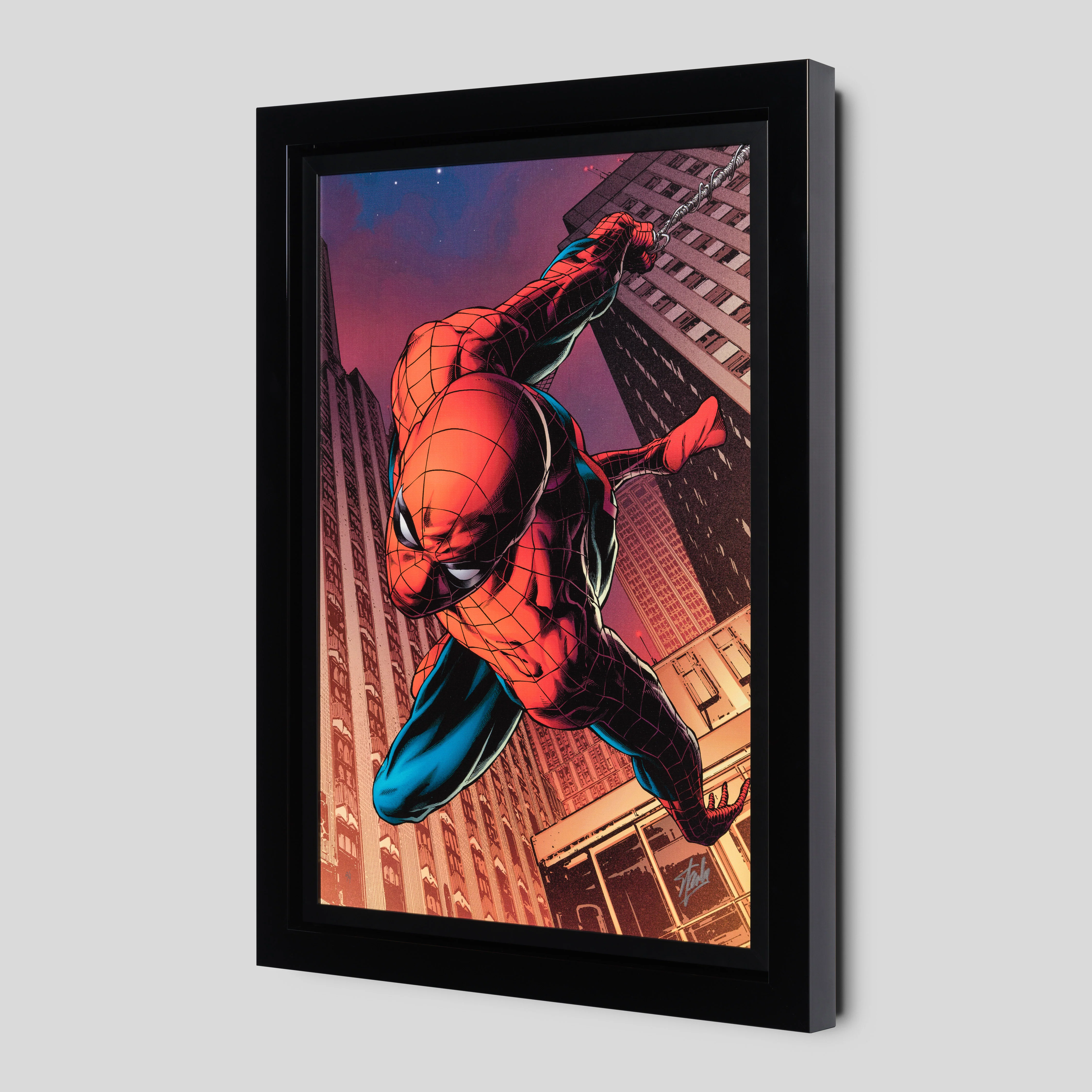 Amazing Spider-Man #641 | Deluxe Edition | Hand-signed by Stan Lee - Image 5