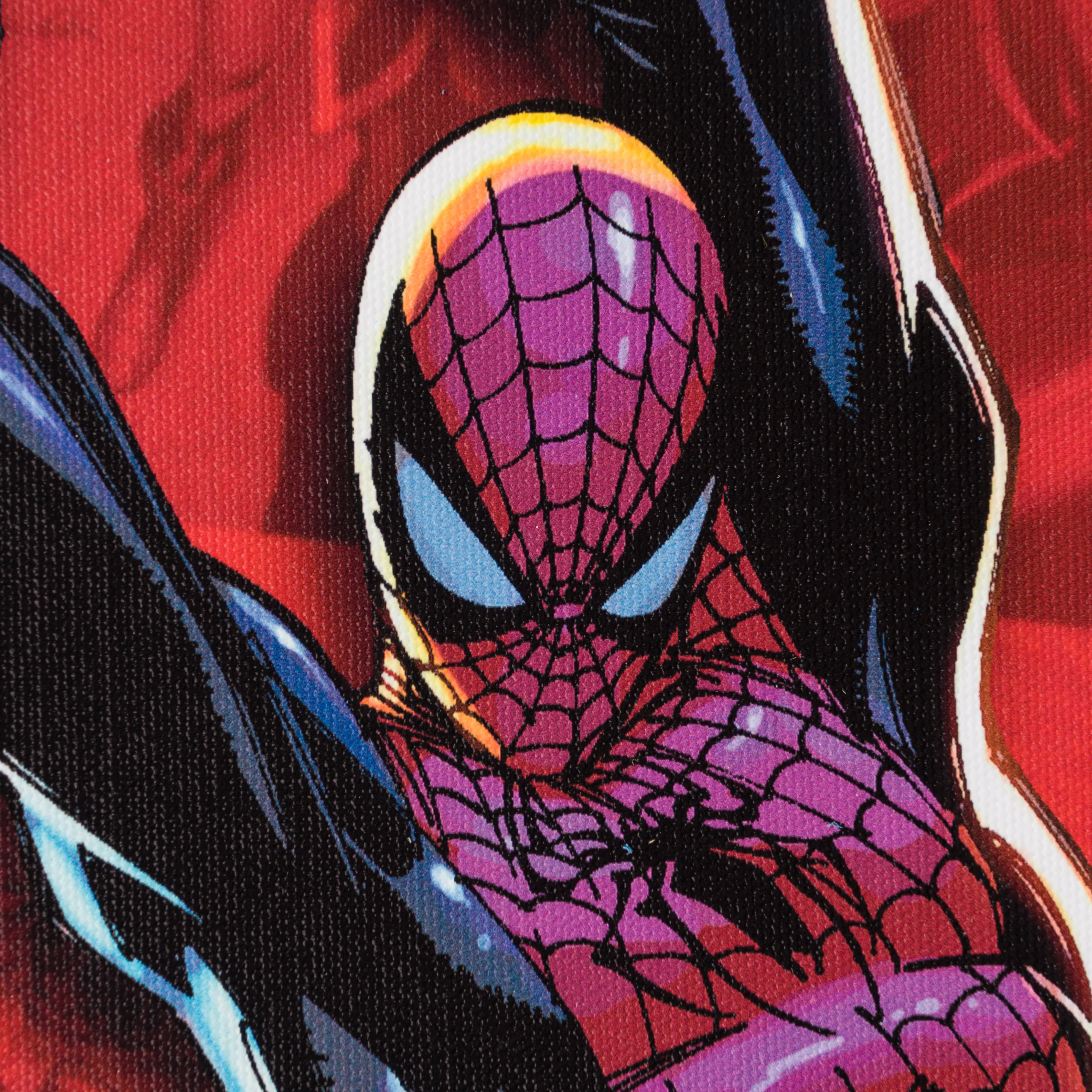 Spider-Man Saga | Collector's Edition | Hand-signed by Stan Lee - Image 5