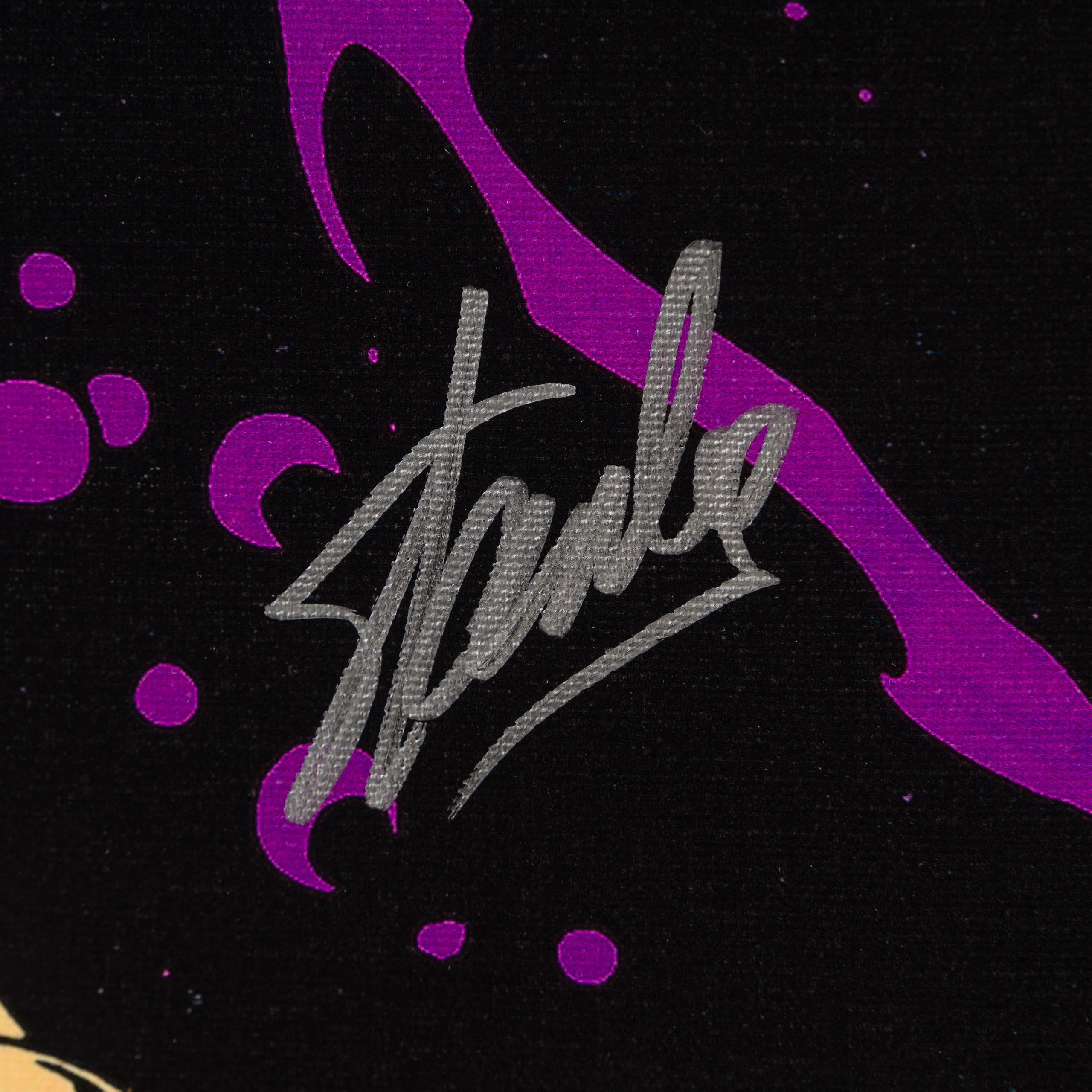 The Silver Surfer #4 | Boxed Canvas | Hand-signed by Stan Lee - Image 3