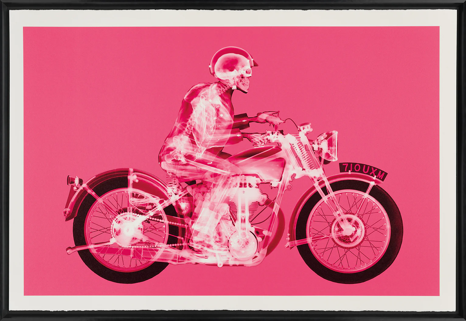 Matchless Rider (Large Pink)