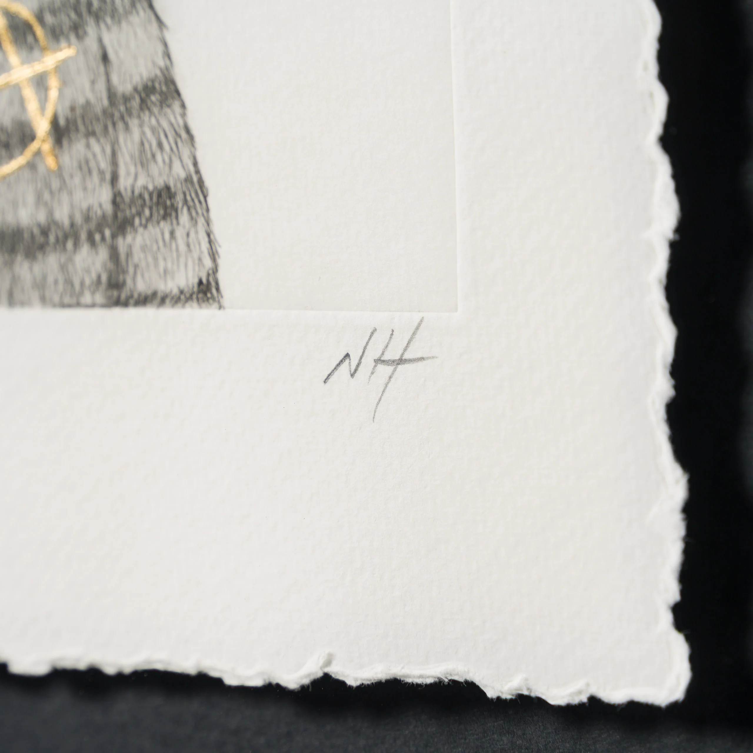 Anarchy Bear III - Image 3