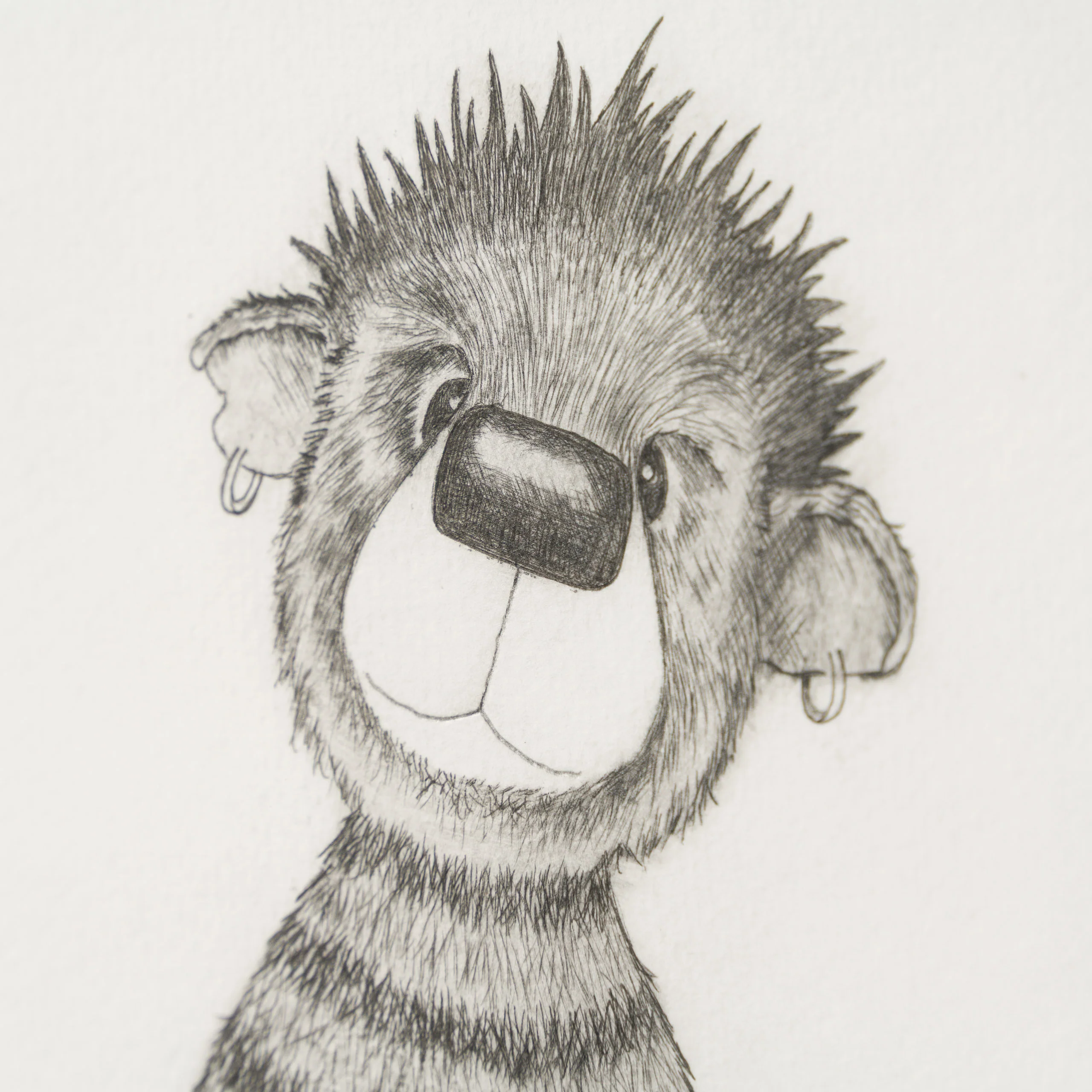 Anarchy Bear IV - Image 5