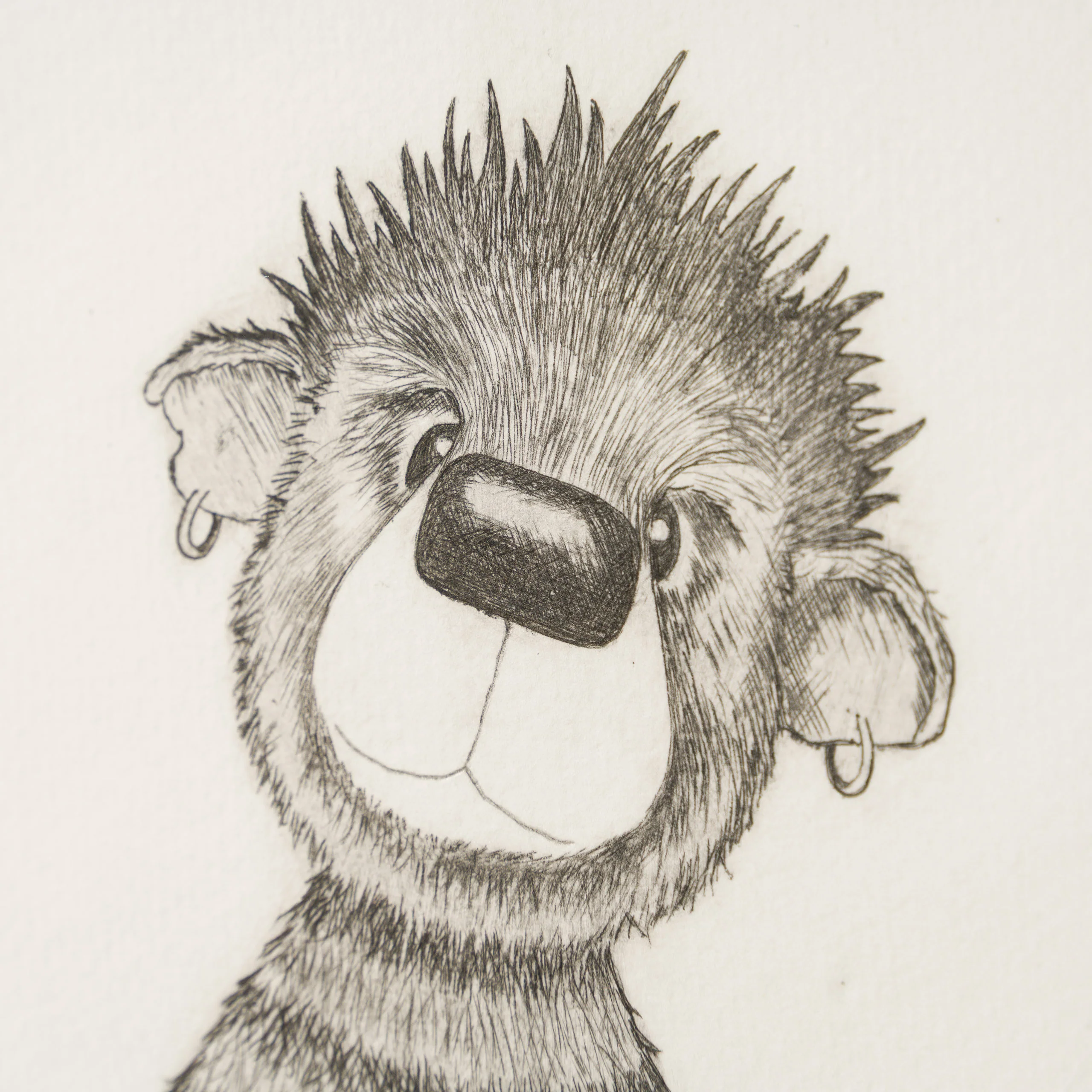Anarchy Bear XII - Image 5